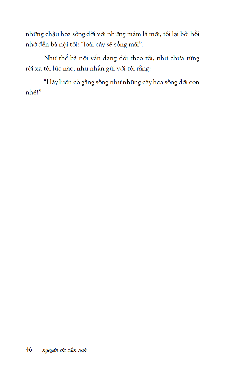 mùa xuân ở xứ sở nhiệt đới - Ảnh 12