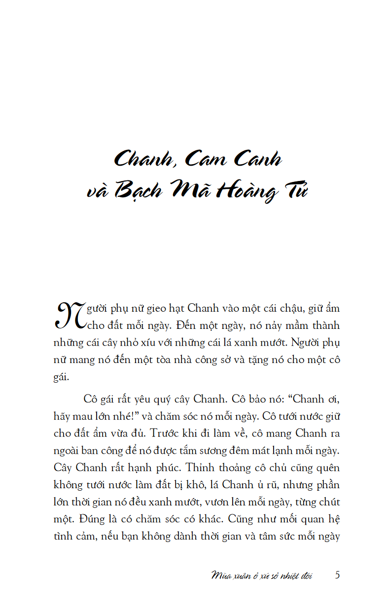 mùa xuân ở xứ sở nhiệt đới - Ảnh 6