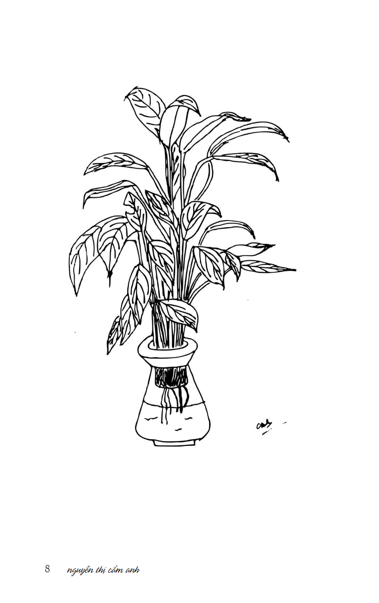 mùa xuân ở xứ sở nhiệt đới - Ảnh 9