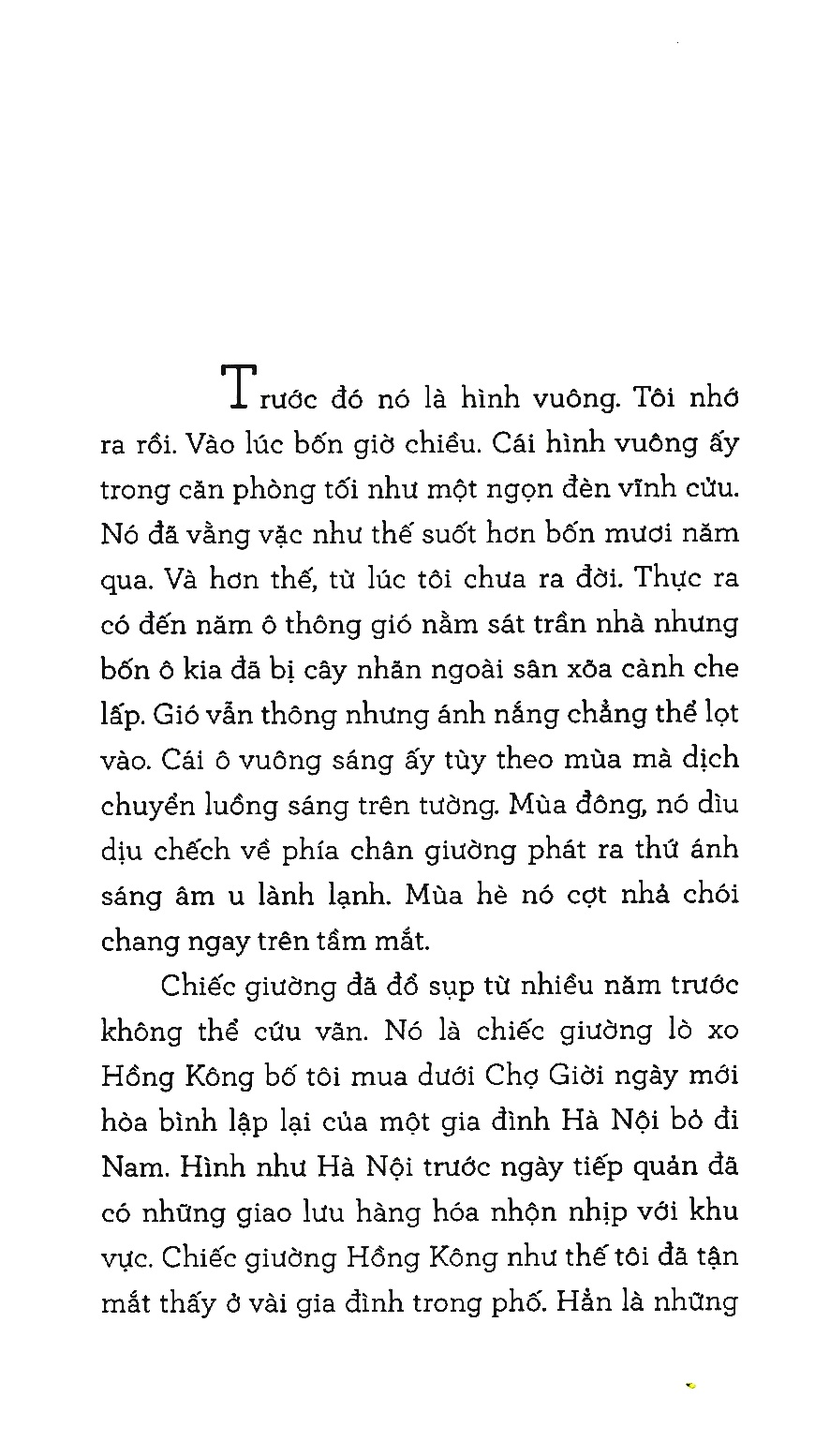 mùi trần - Ảnh 3