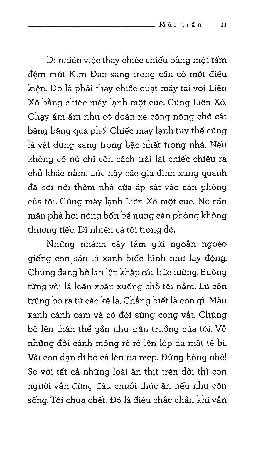 mùi trần - Ảnh 6