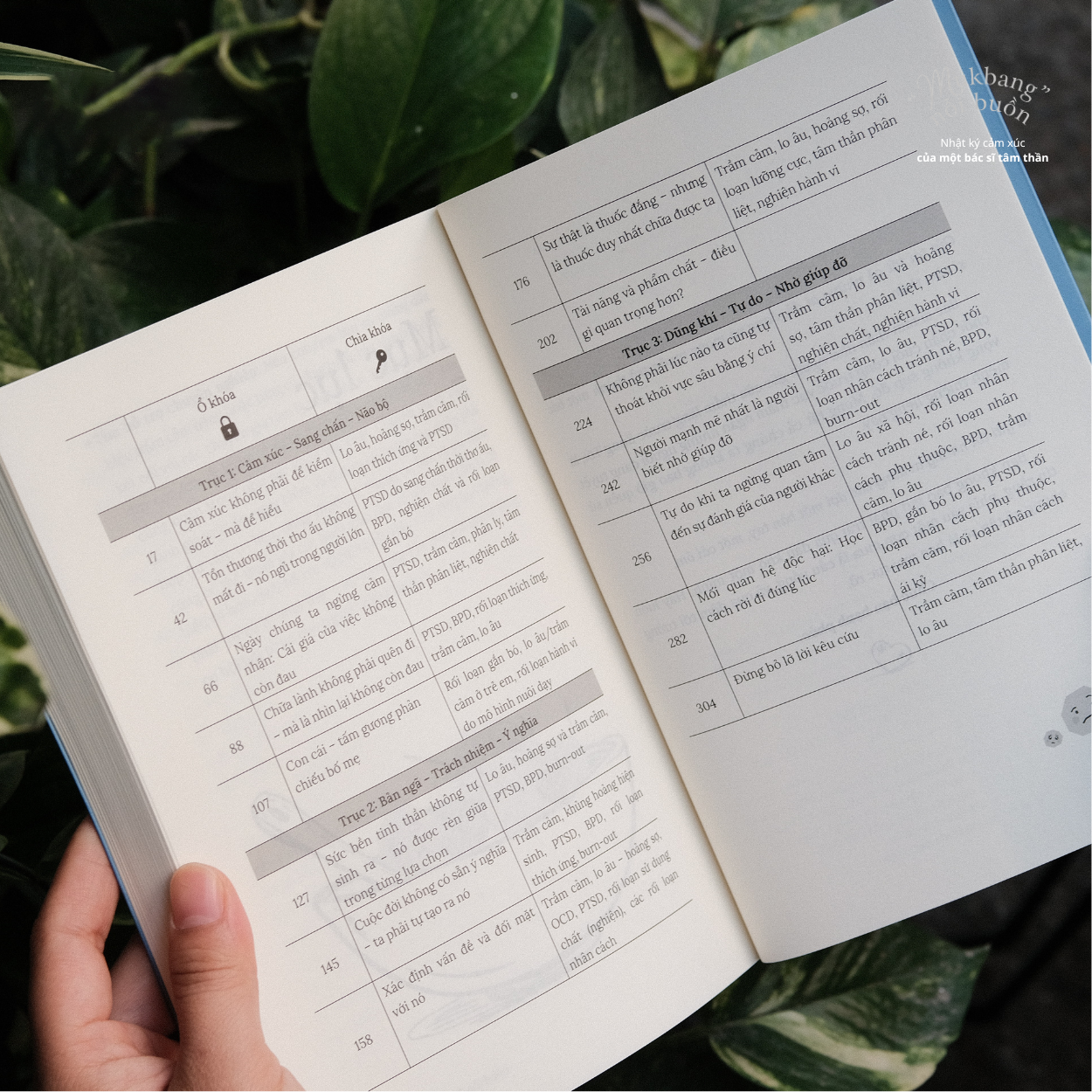 “Mukbang” Nỗi Buồn - Ảnh 8