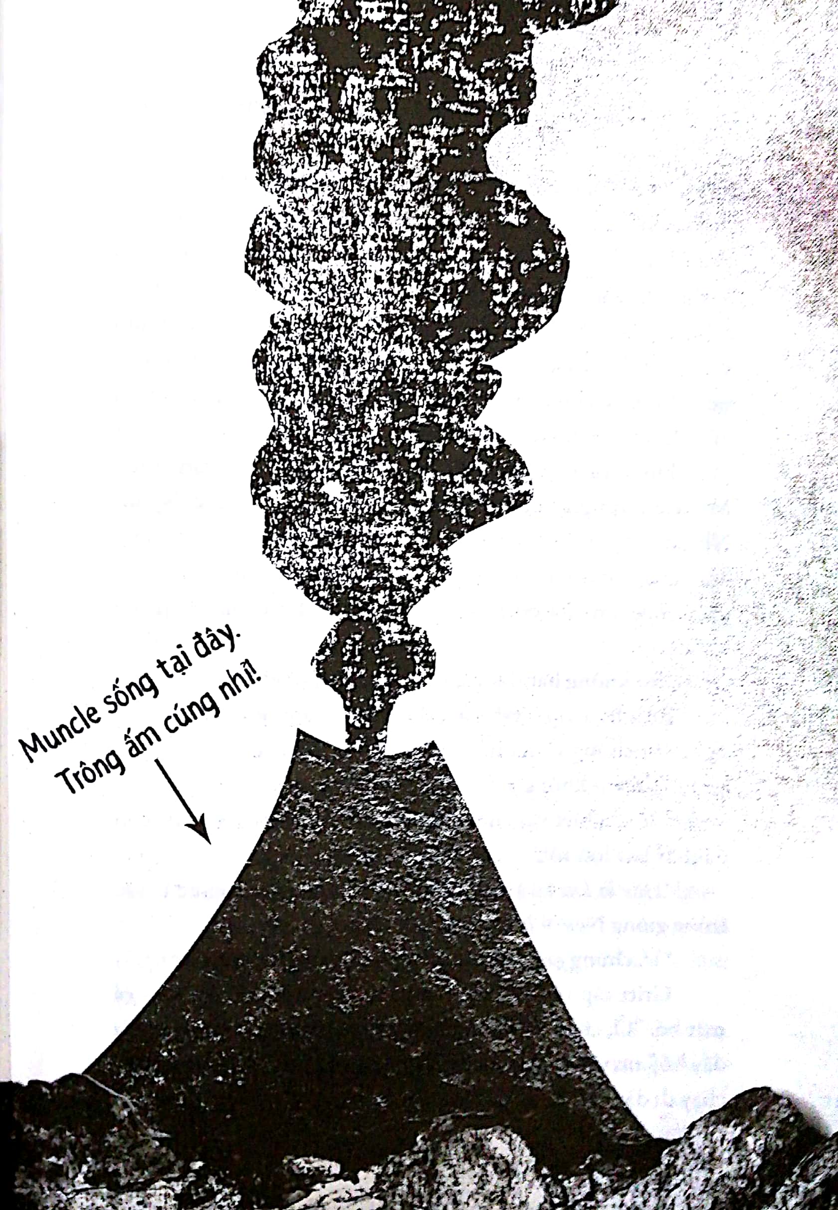 muncle trogg và con lừa biết bay - Ảnh 10