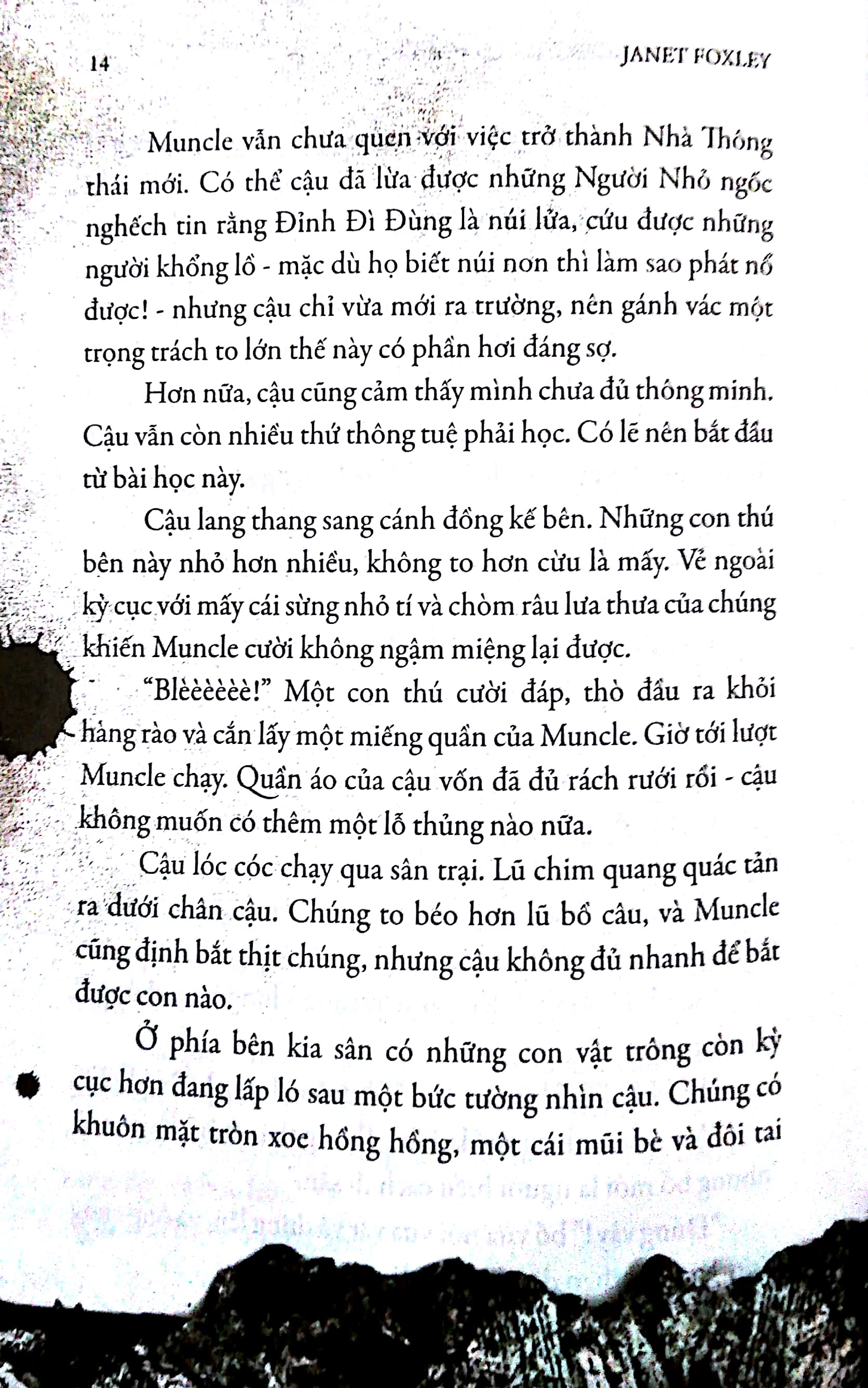 muncle trogg và con lừa biết bay - Ảnh 9