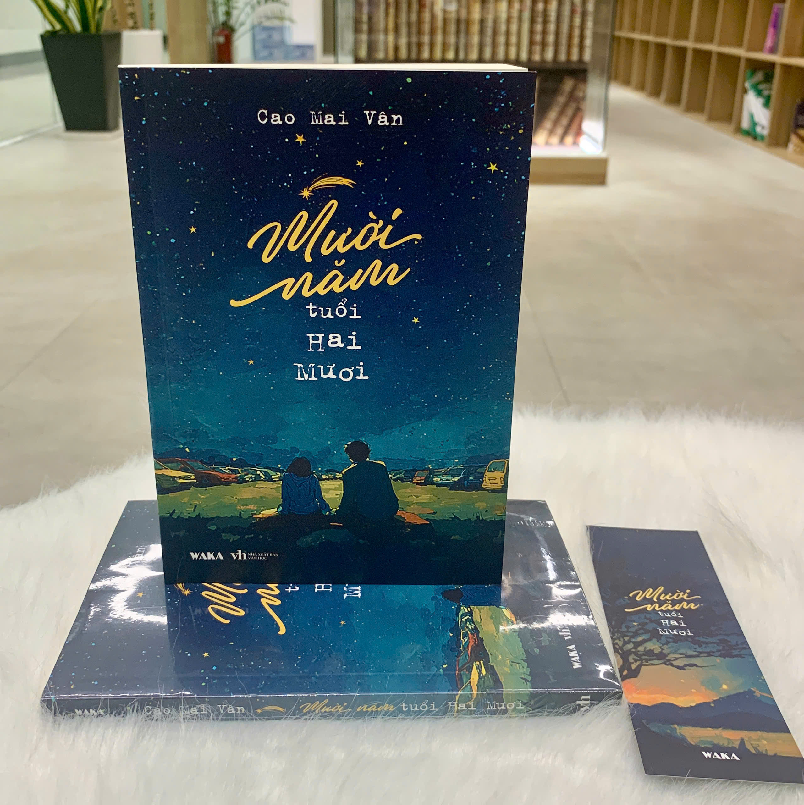 Mười Năm Tuổi Hai Mươi - Ảnh 3