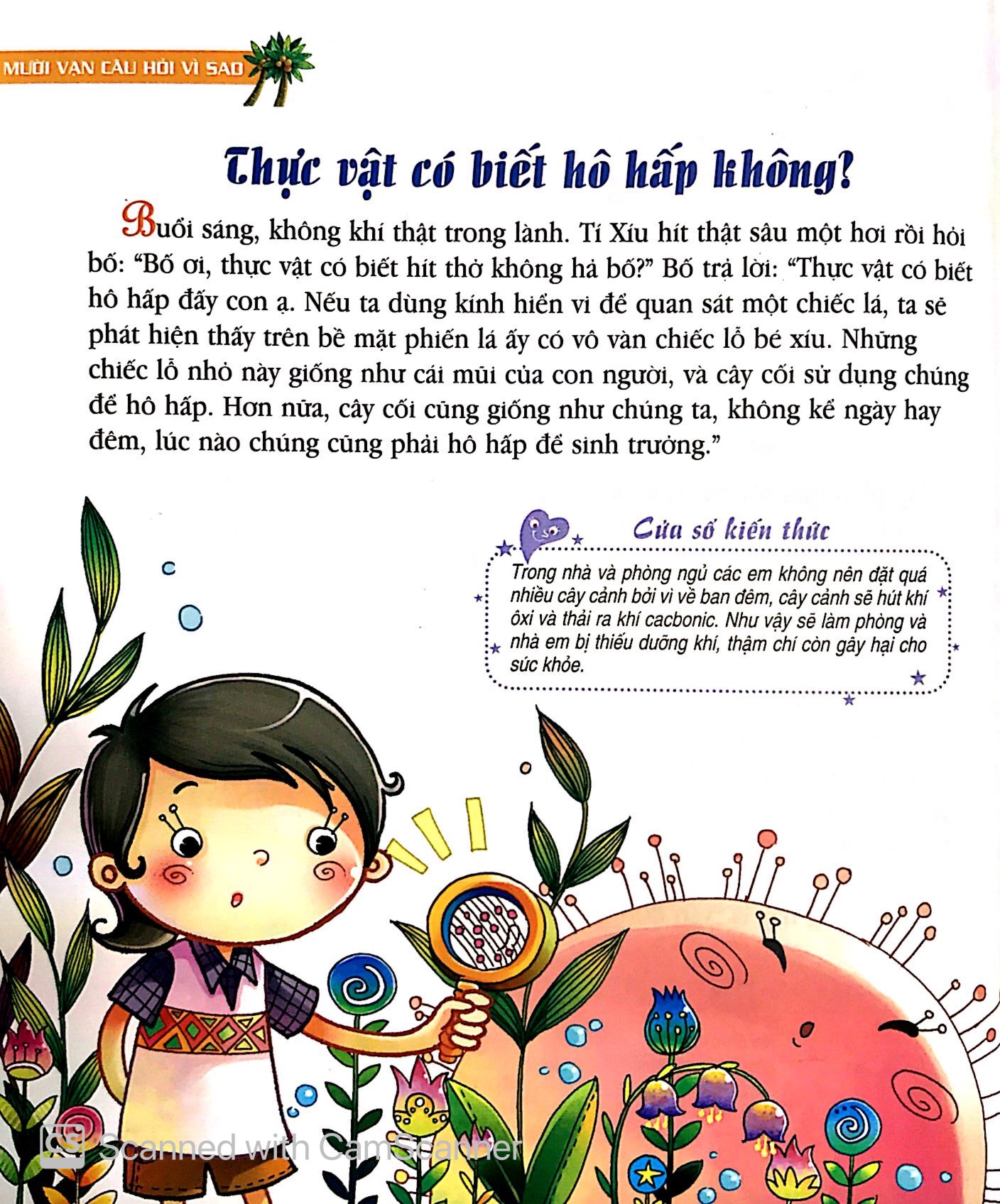 mười vạn câu hỏi vì sao phiên bản mới - thực vật diệu kì (tái bản 2019) - Ảnh 5