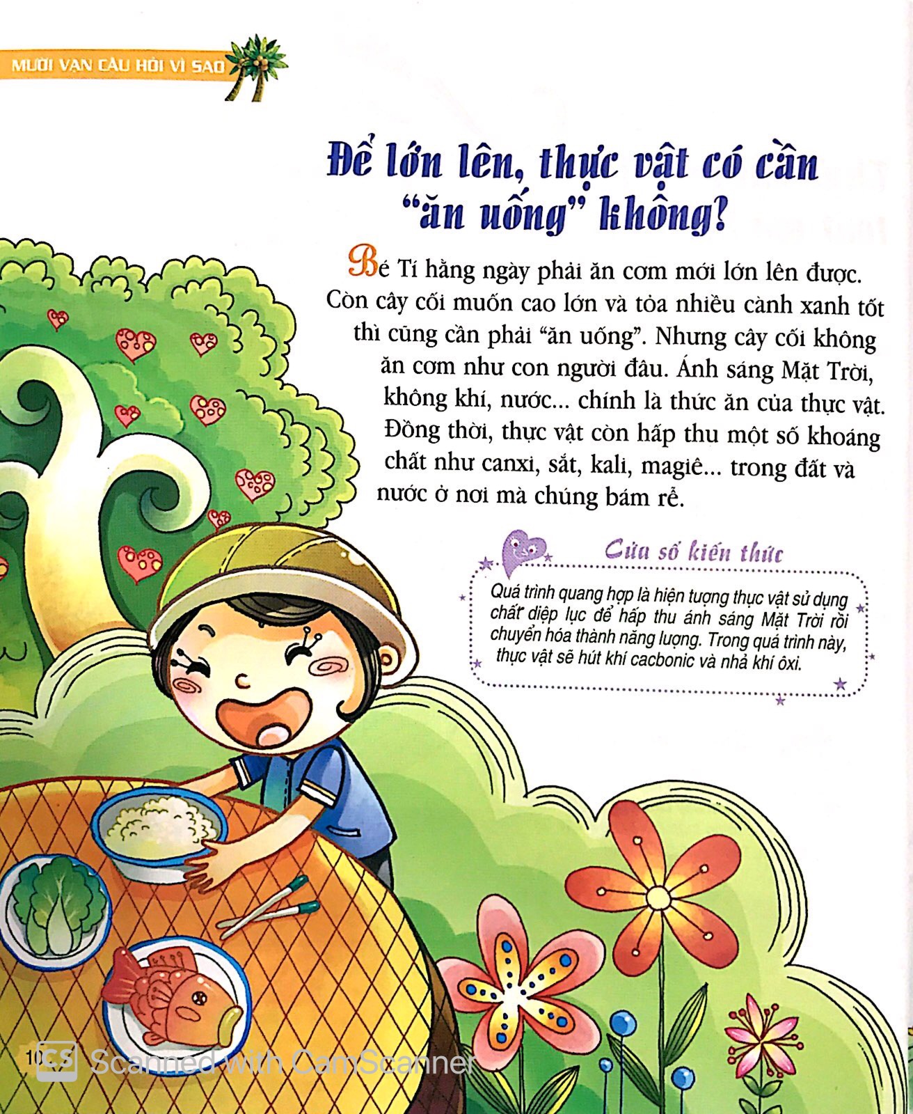 mười vạn câu hỏi vì sao phiên bản mới - thực vật diệu kì (tái bản 2019) - Ảnh 7