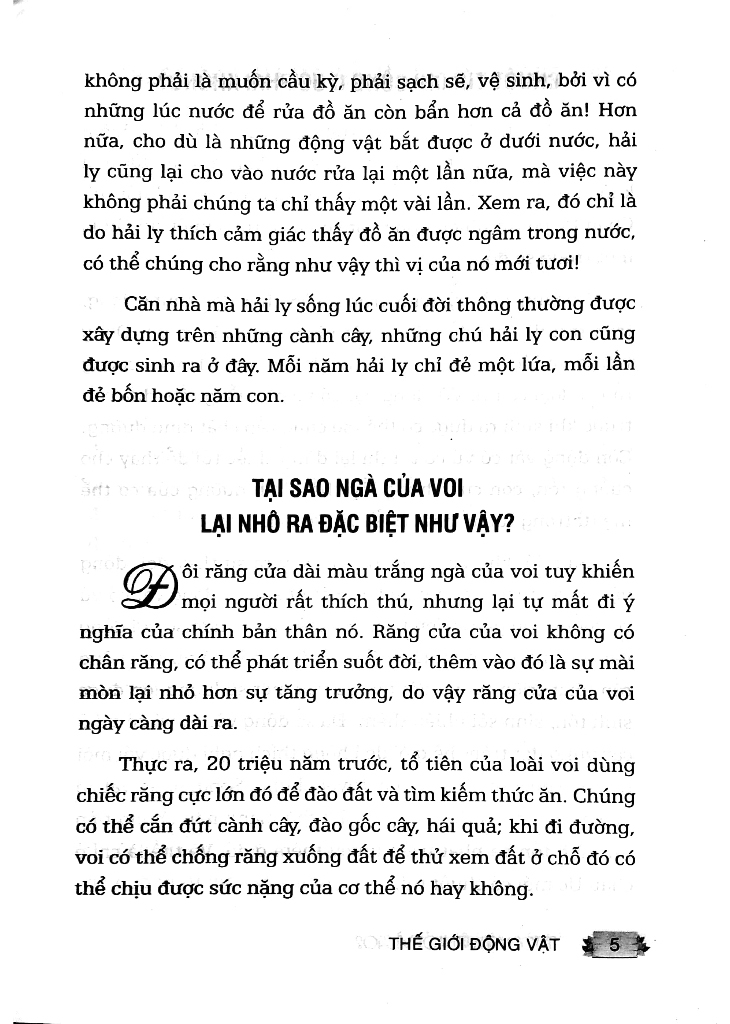 mười vạn câu hỏi vì sao (tái bản 2024) - Ảnh 5