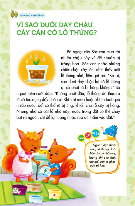 mười vạn câu hỏi vì sao - thế giới tự nhiên (tái bản 2023) - Ảnh 4