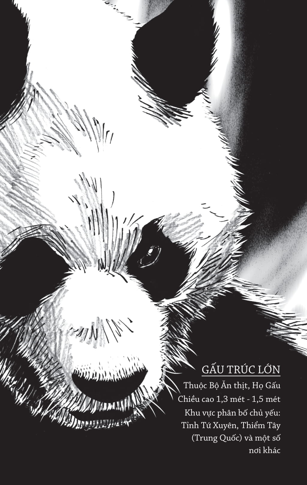 muông thú dạy ta bài học cuộc sống - Ảnh 8