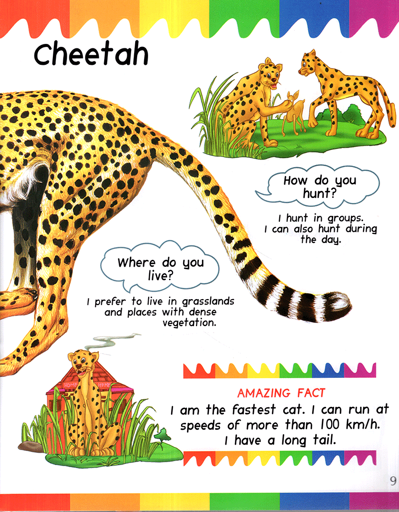 my 1st questions and answers - cats - Ảnh 10