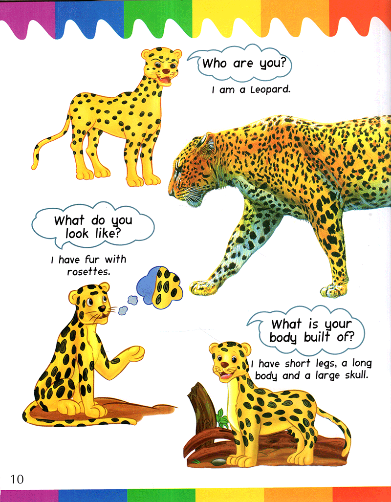 my 1st questions and answers - cats - Ảnh 11