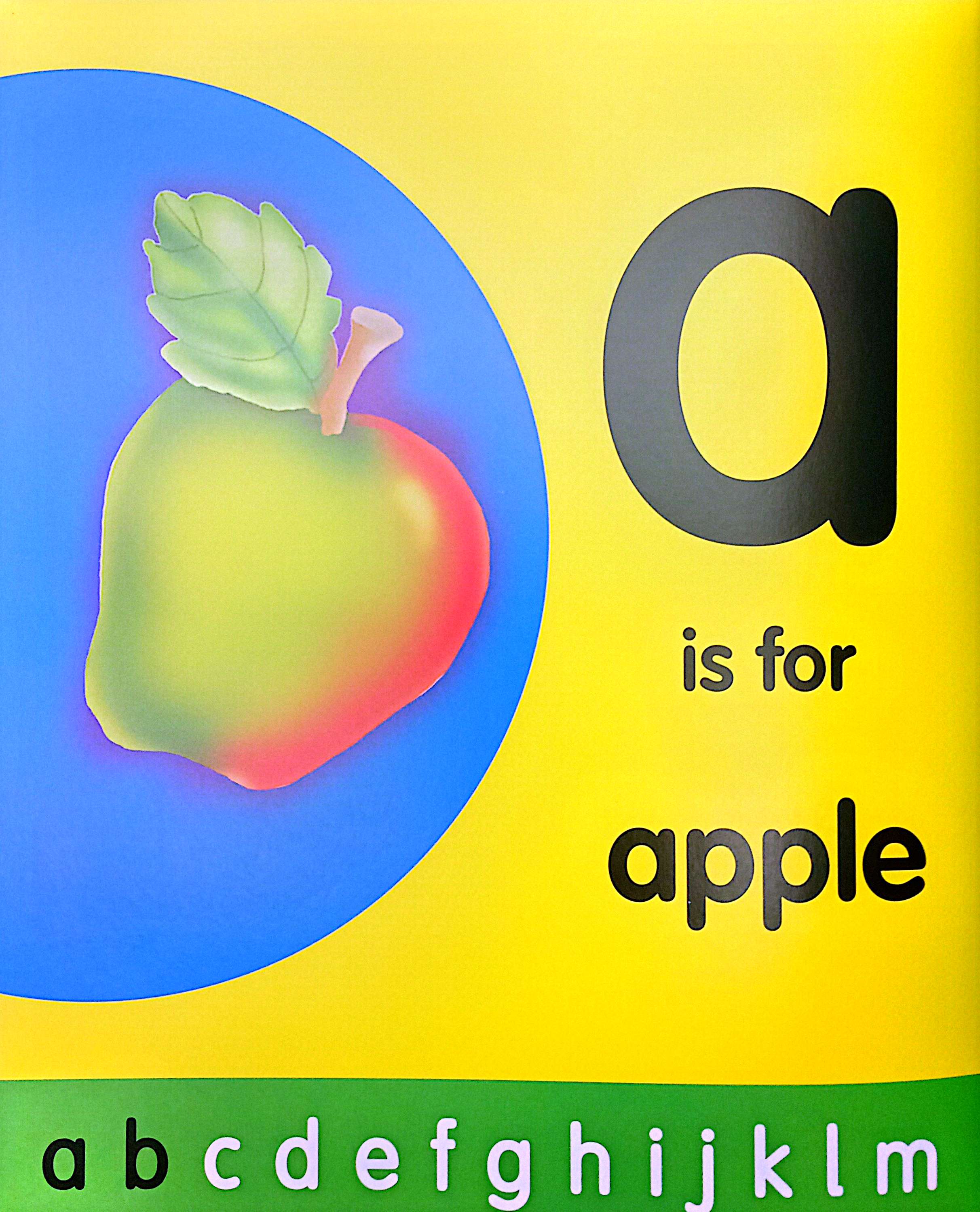 my abc (padded) - Ảnh 4