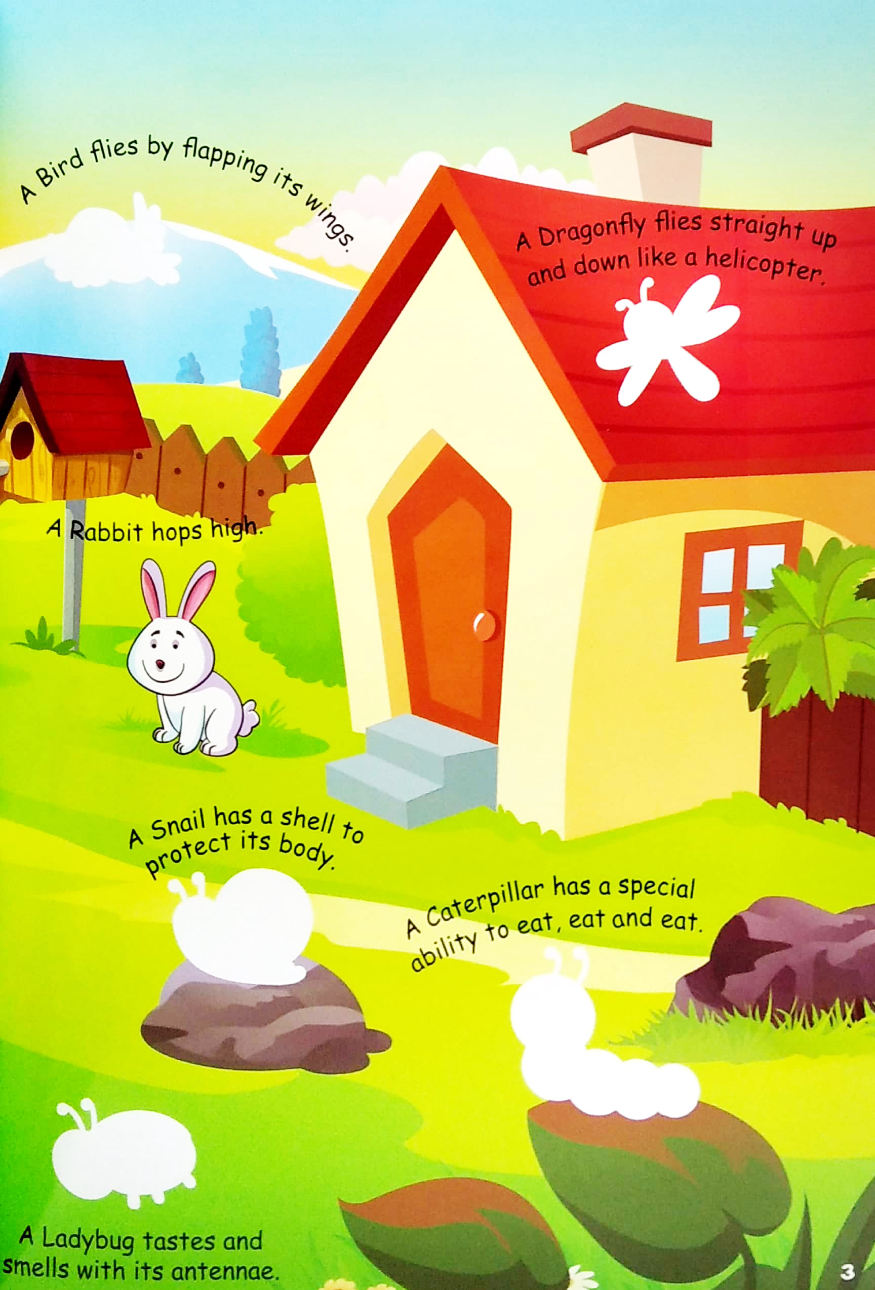 my animals stickers & writing book - Ảnh 4