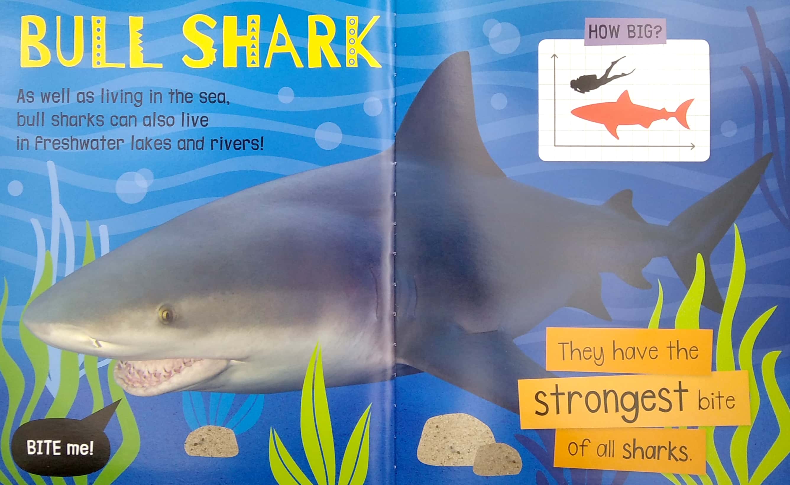 my awesome sharks book - Ảnh 6