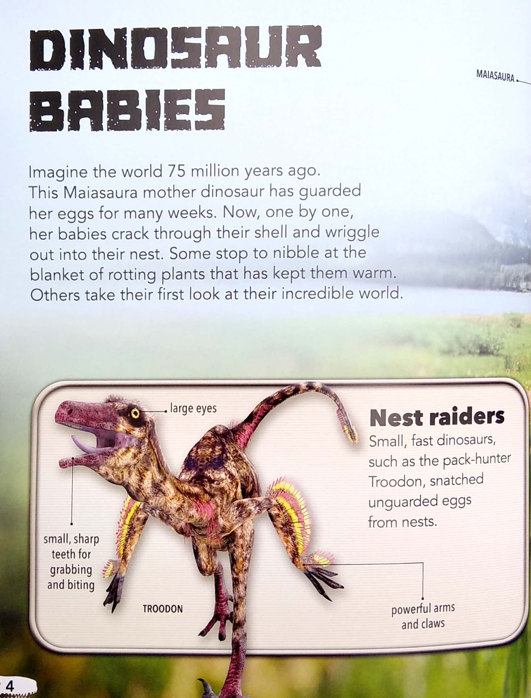 my best book of dinosaurs - Ảnh 4