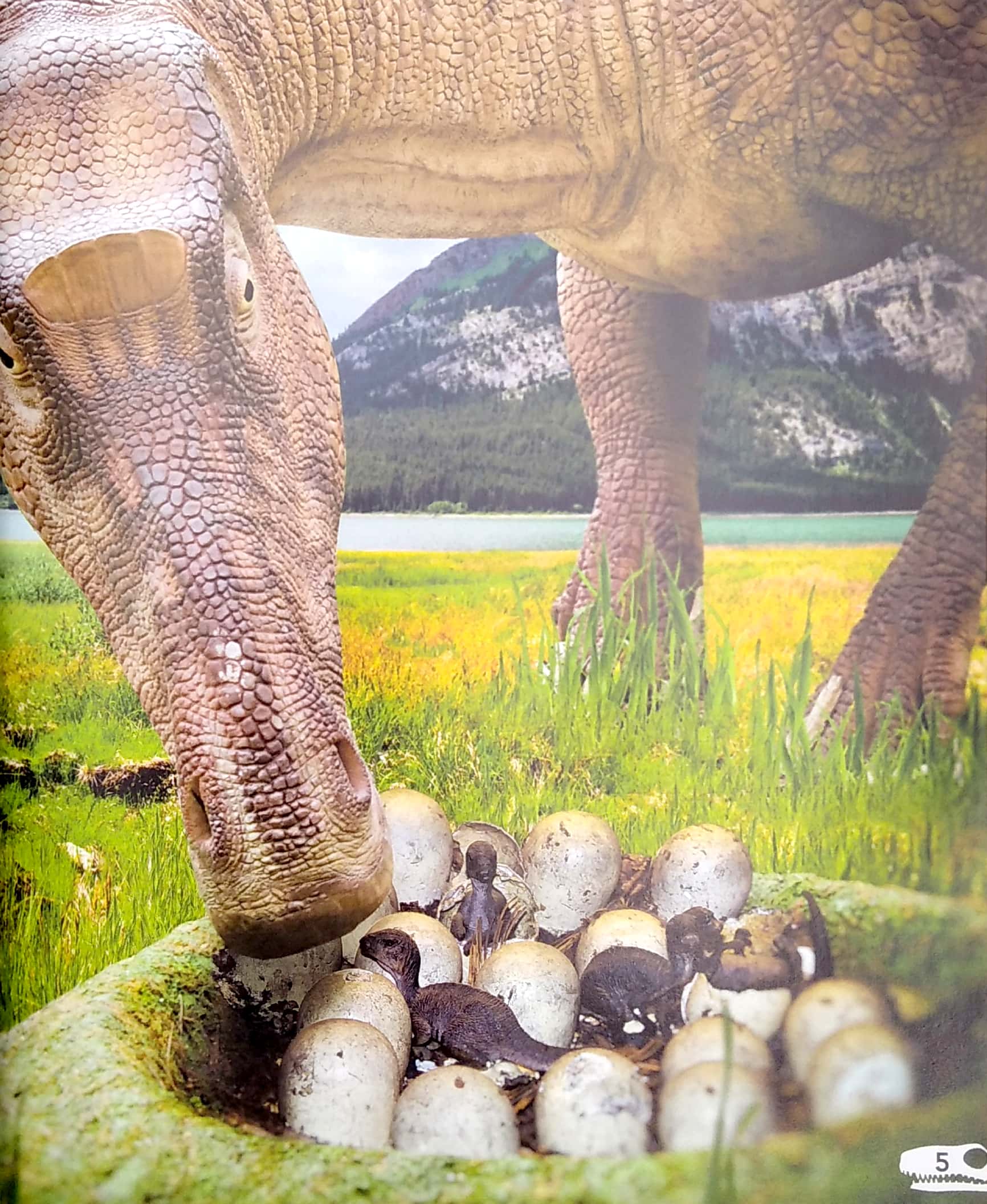 my best book of dinosaurs - Ảnh 5