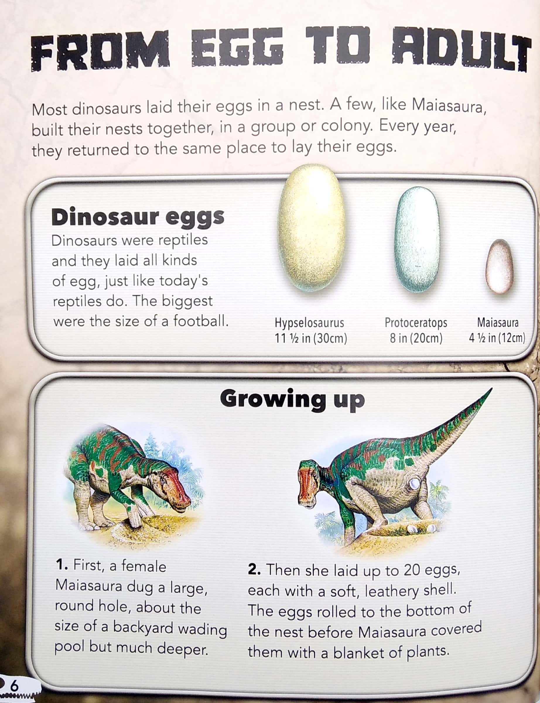 my best book of dinosaurs - Ảnh 6