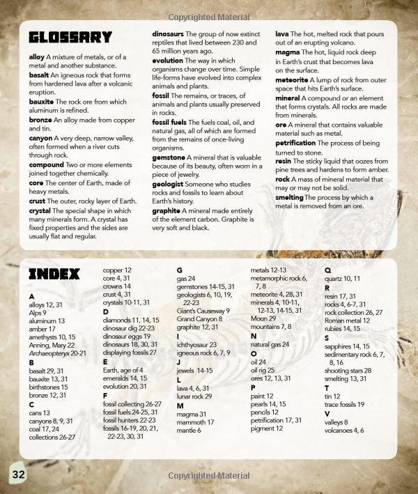 my best book of rocks and fossils - Ảnh 10