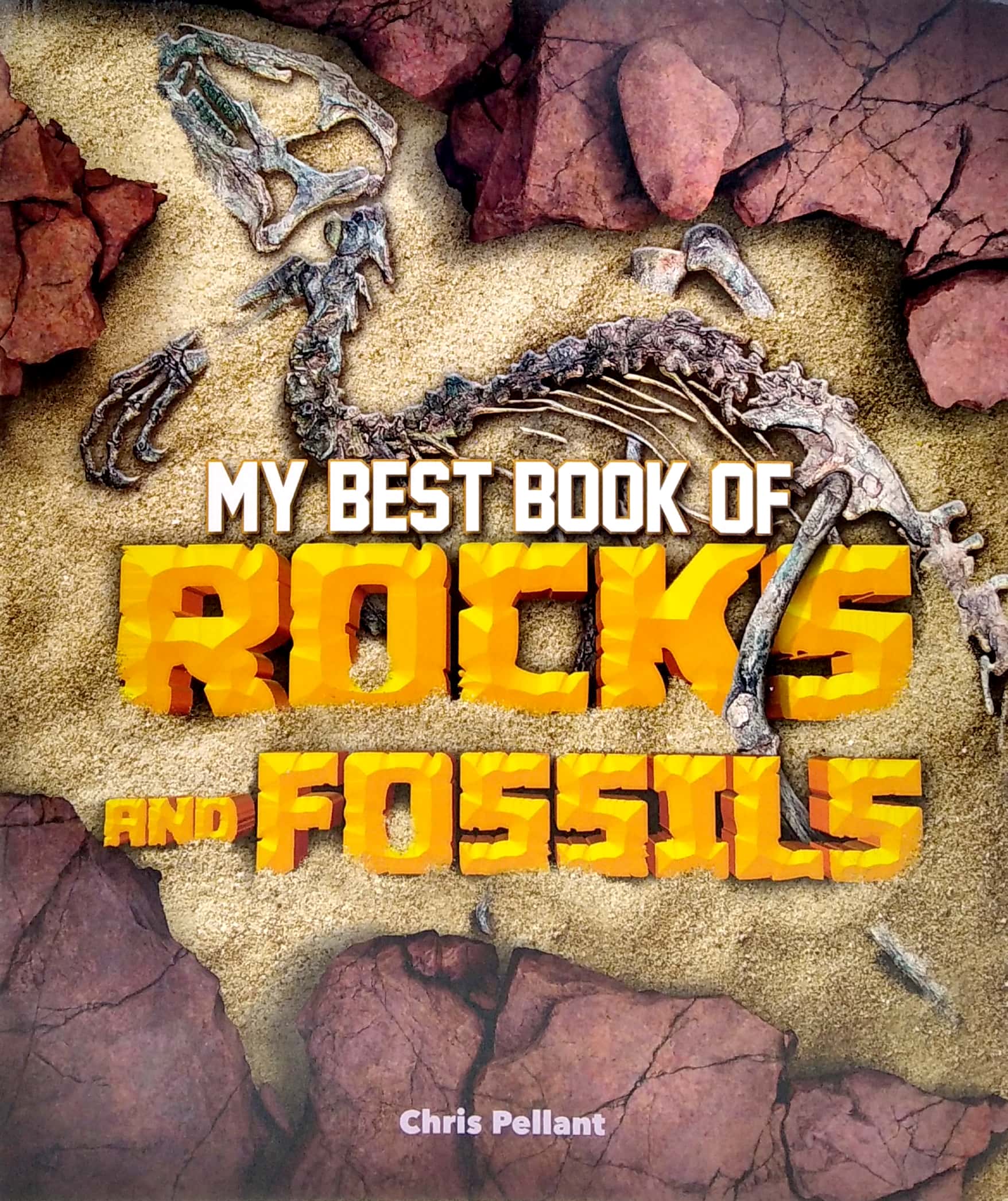 my best book of rocks and fossils - Ảnh 2