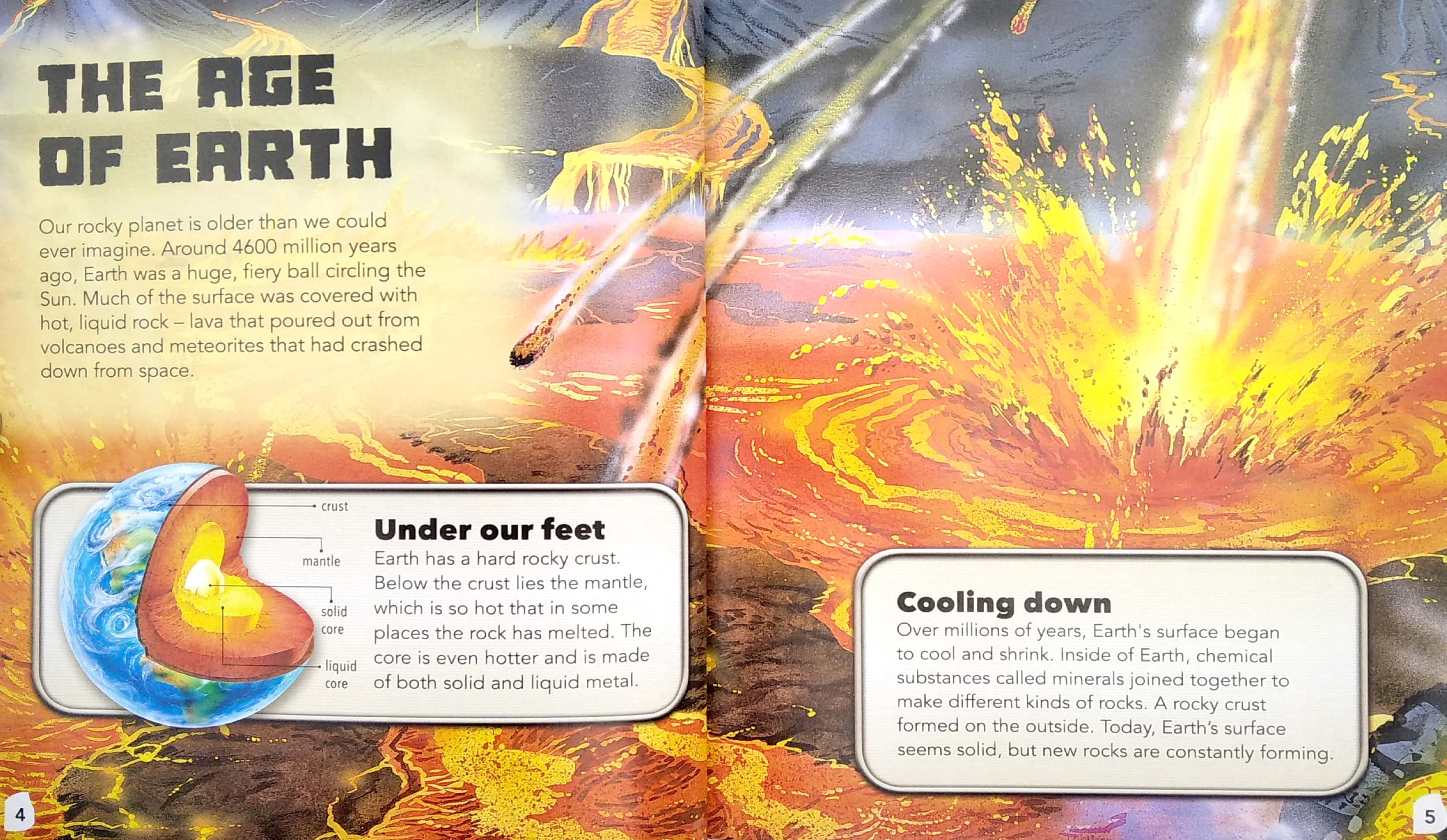 my best book of rocks and fossils - Ảnh 4