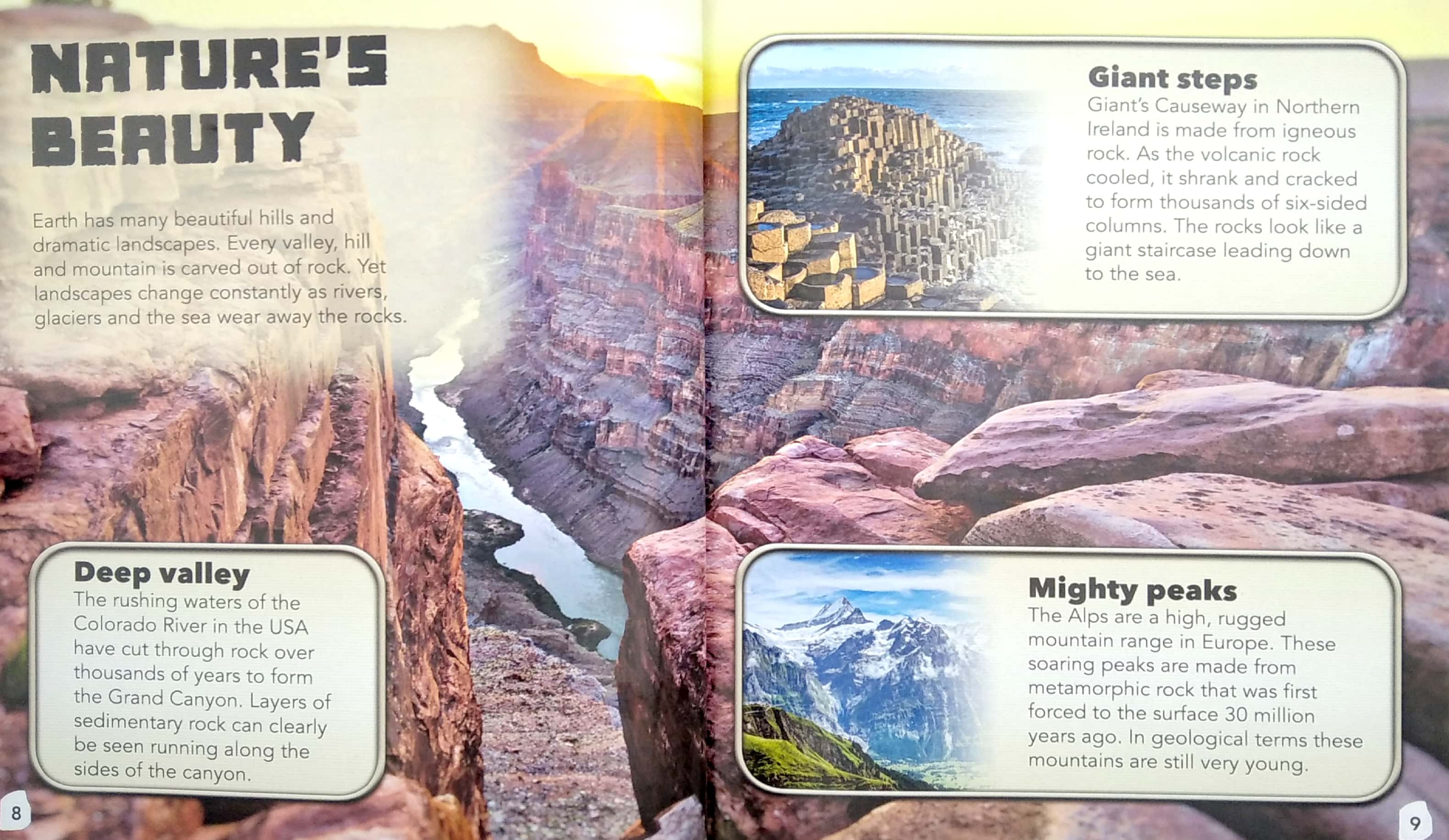 my best book of rocks and fossils - Ảnh 6