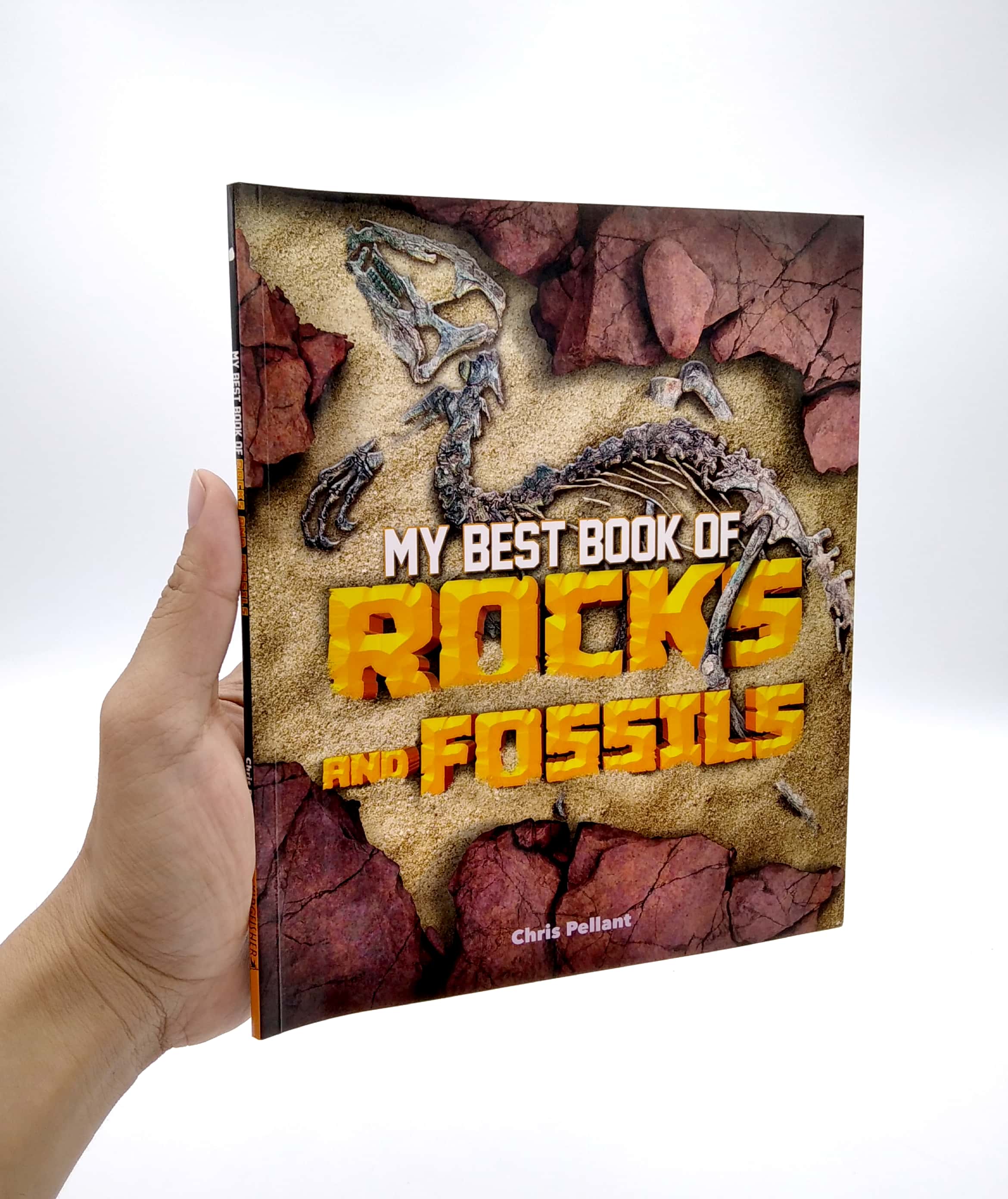 my best book of rocks and fossils - Ảnh 7