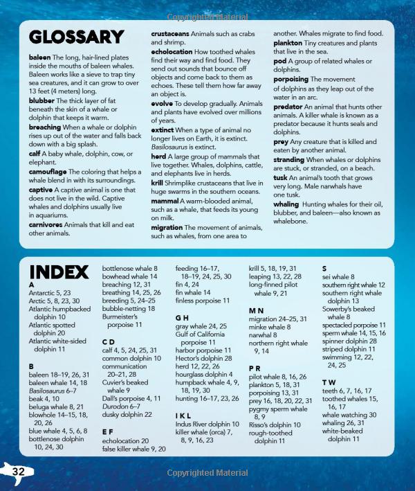 my best book of whales and dolphins - Ảnh 10