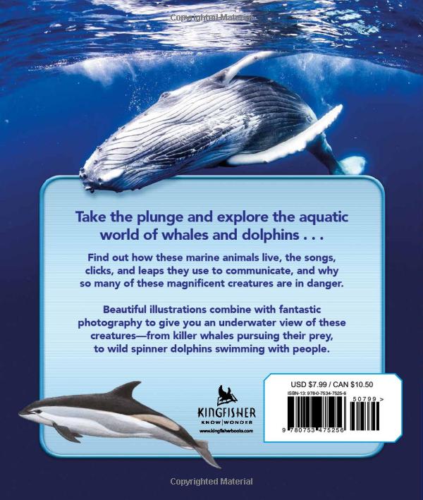 my best book of whales and dolphins - Ảnh 11
