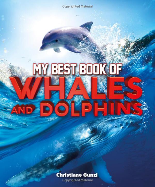 my best book of whales and dolphins - Ảnh 2