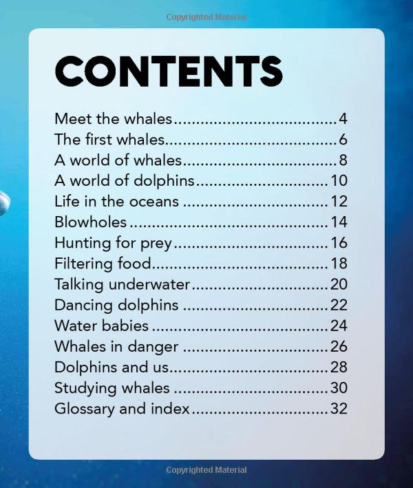 my best book of whales and dolphins - Ảnh 3