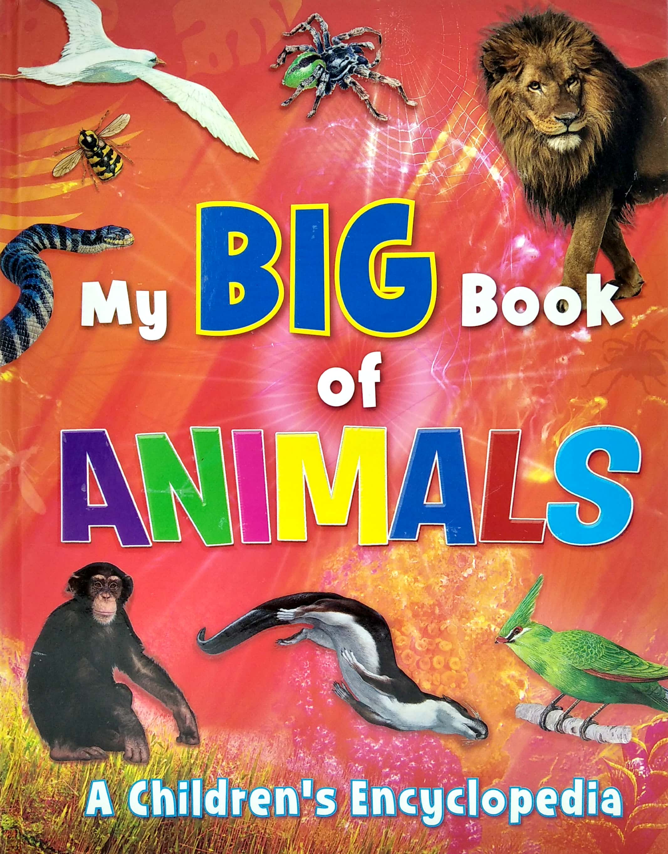 my big book of animals - Ảnh 2
