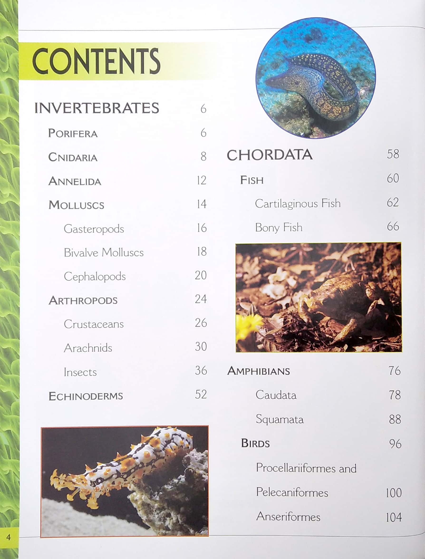 my big book of animals - Ảnh 3