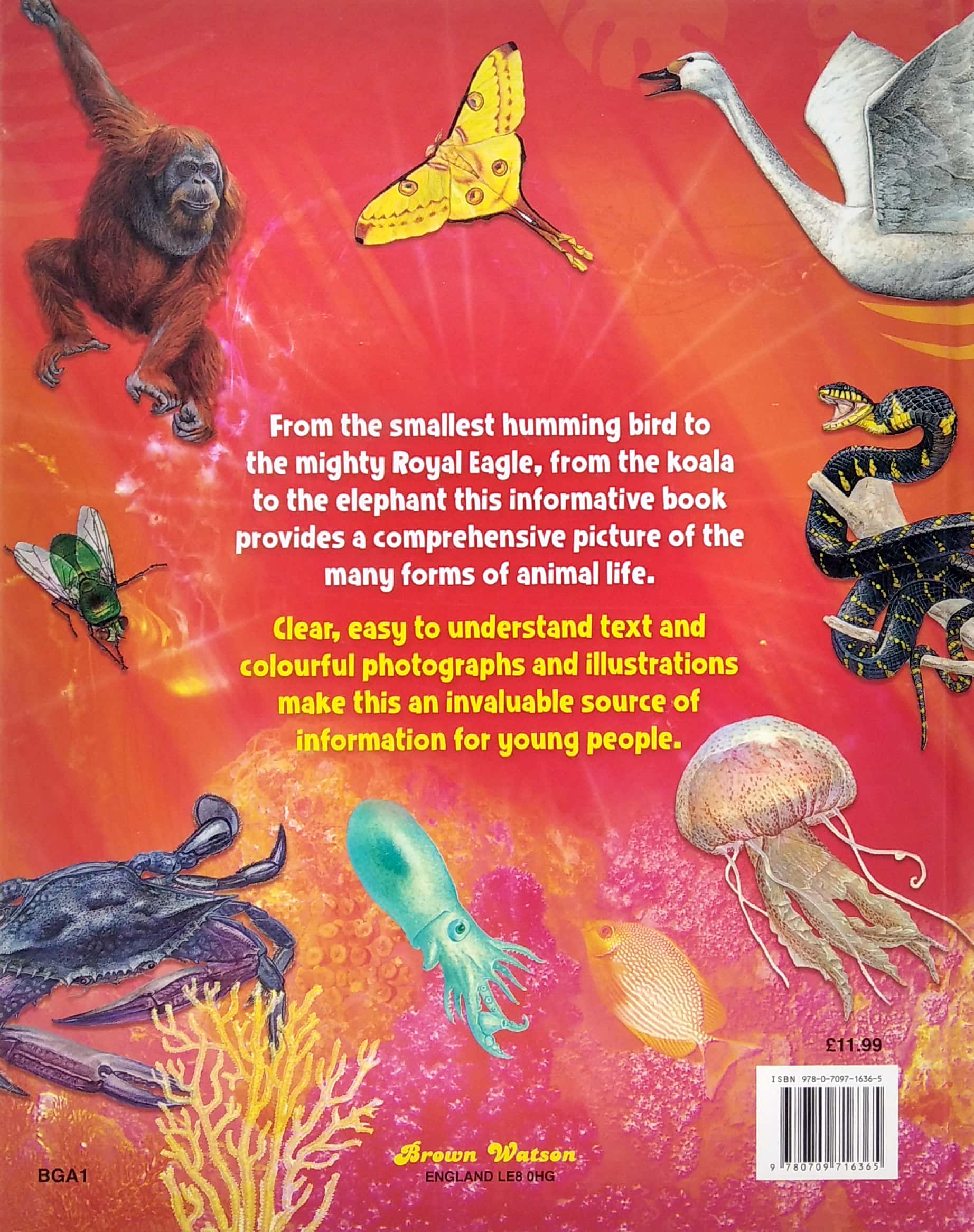 my big book of animals - Ảnh 6