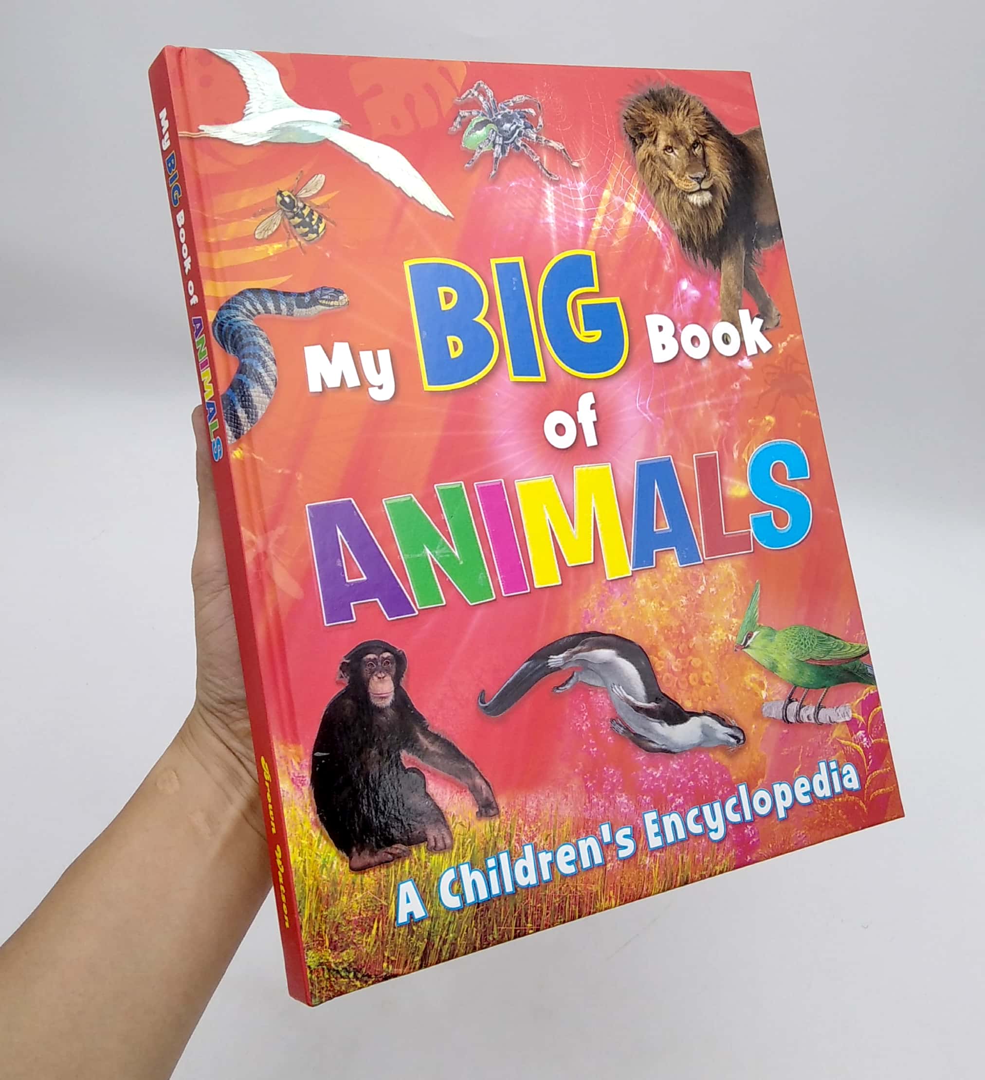 my big book of animals - Ảnh 7