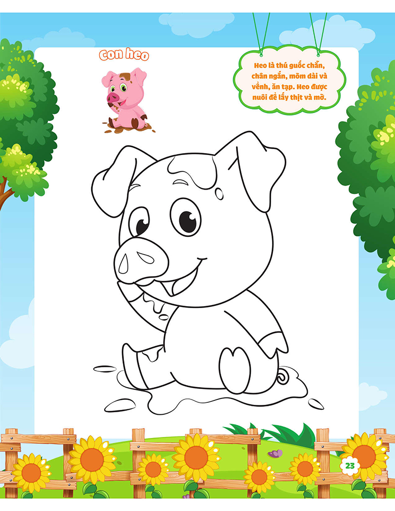 my big garden - con tô màu cảm xúc khu vườn - Ảnh 5