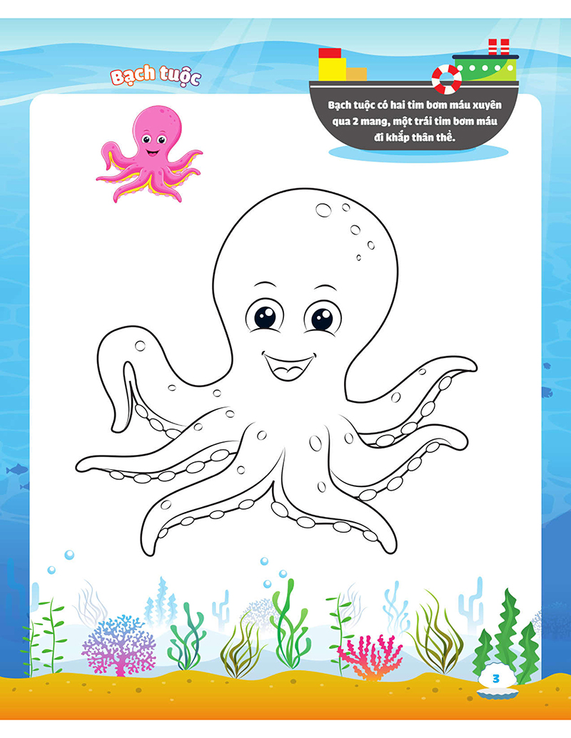 my big ocean - con tô màu cảm xúc đại dương - Ảnh 5