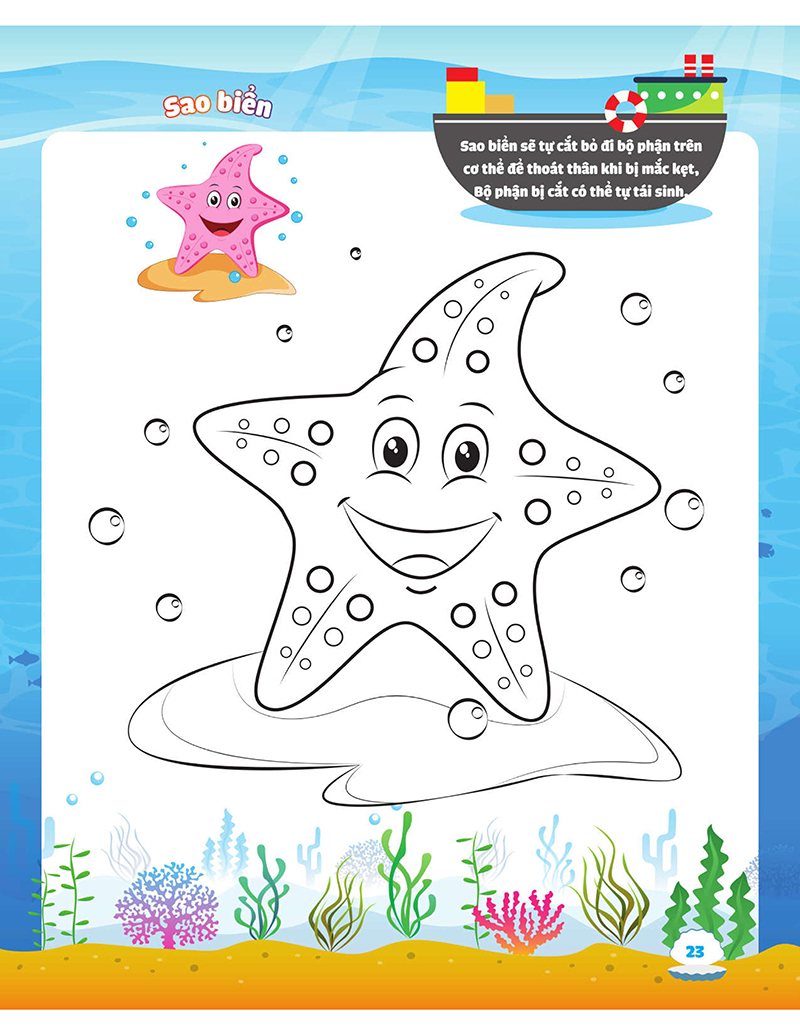 my big ocean - con tô màu cảm xúc đại dương - Ảnh 6