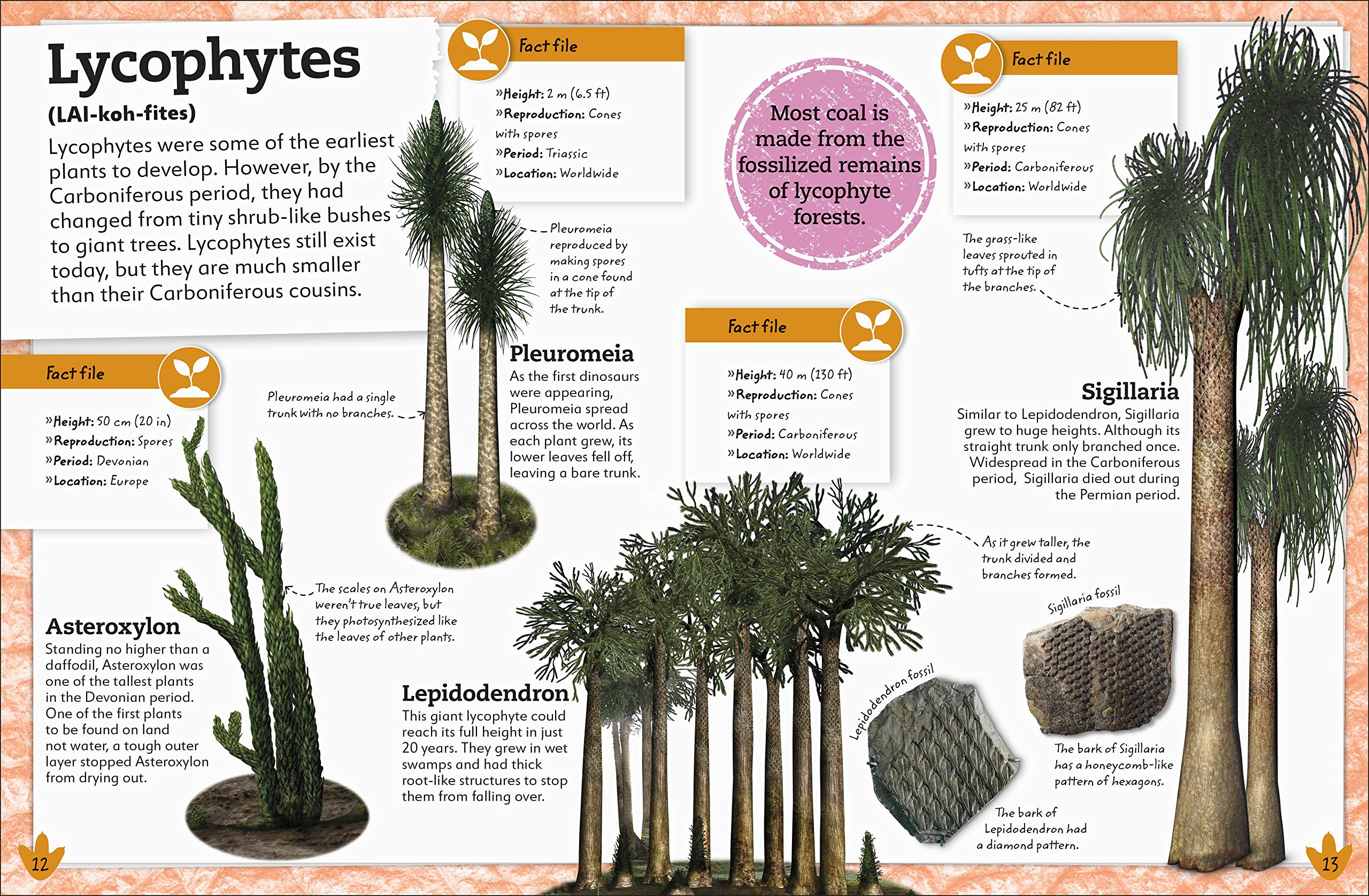 my book of dinosaurs and prehistoric life: animals and plants to amaze, surprise, and astonish! - Ảnh 4