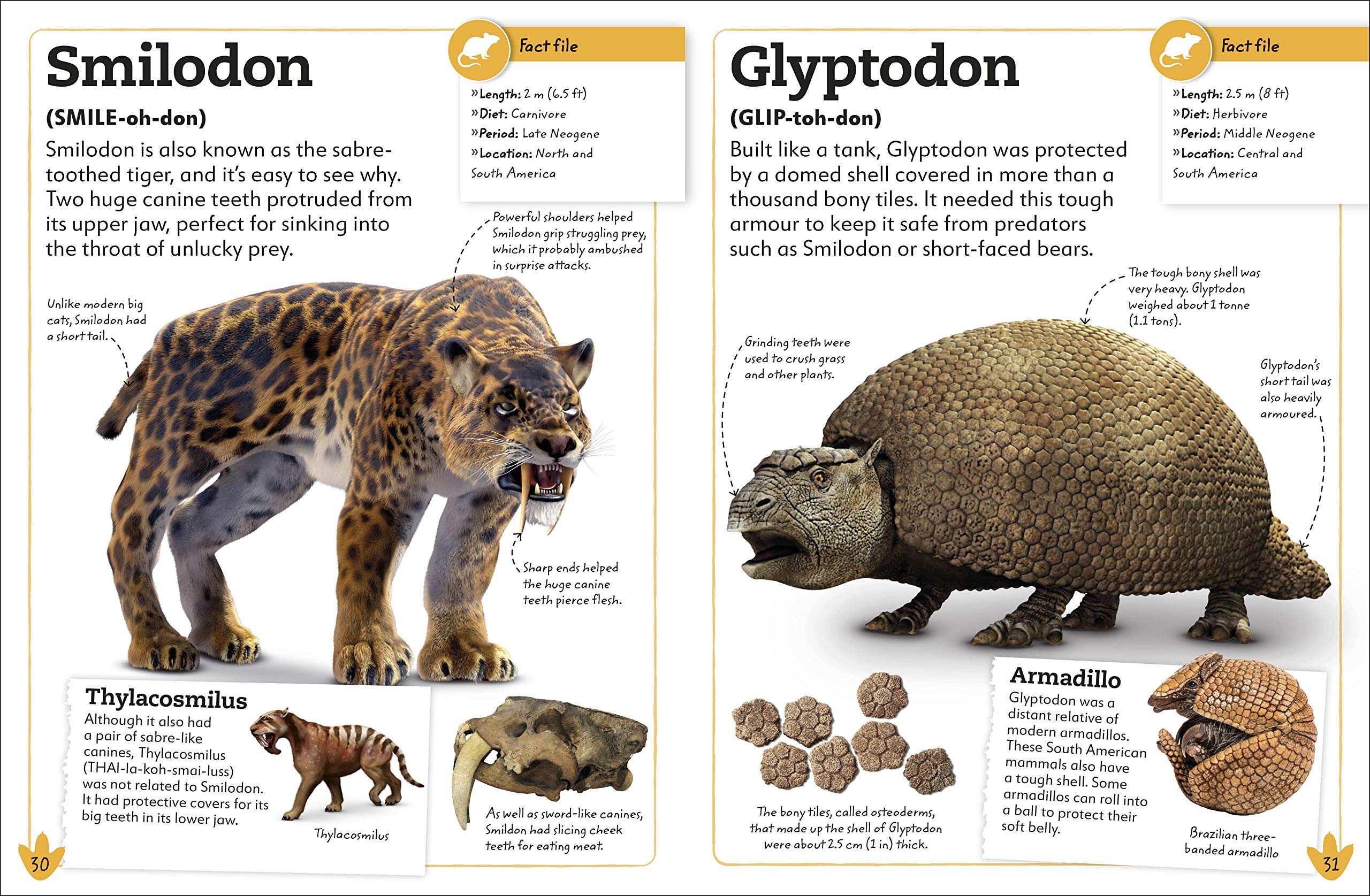 my book of dinosaurs and prehistoric life: animals and plants to amaze, surprise, and astonish! - Ảnh 6