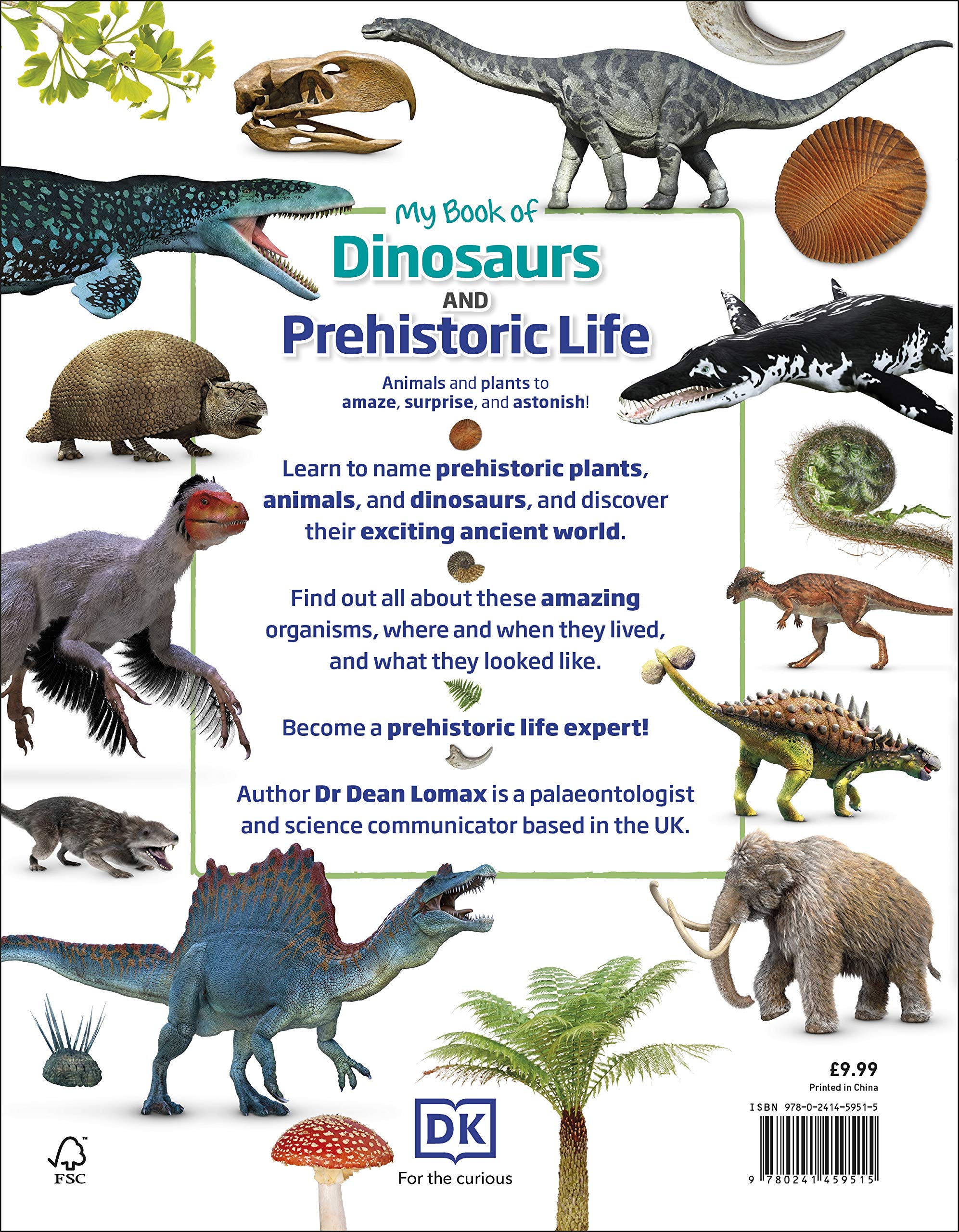 my book of dinosaurs and prehistoric life: animals and plants to amaze, surprise, and astonish! - Ảnh 7