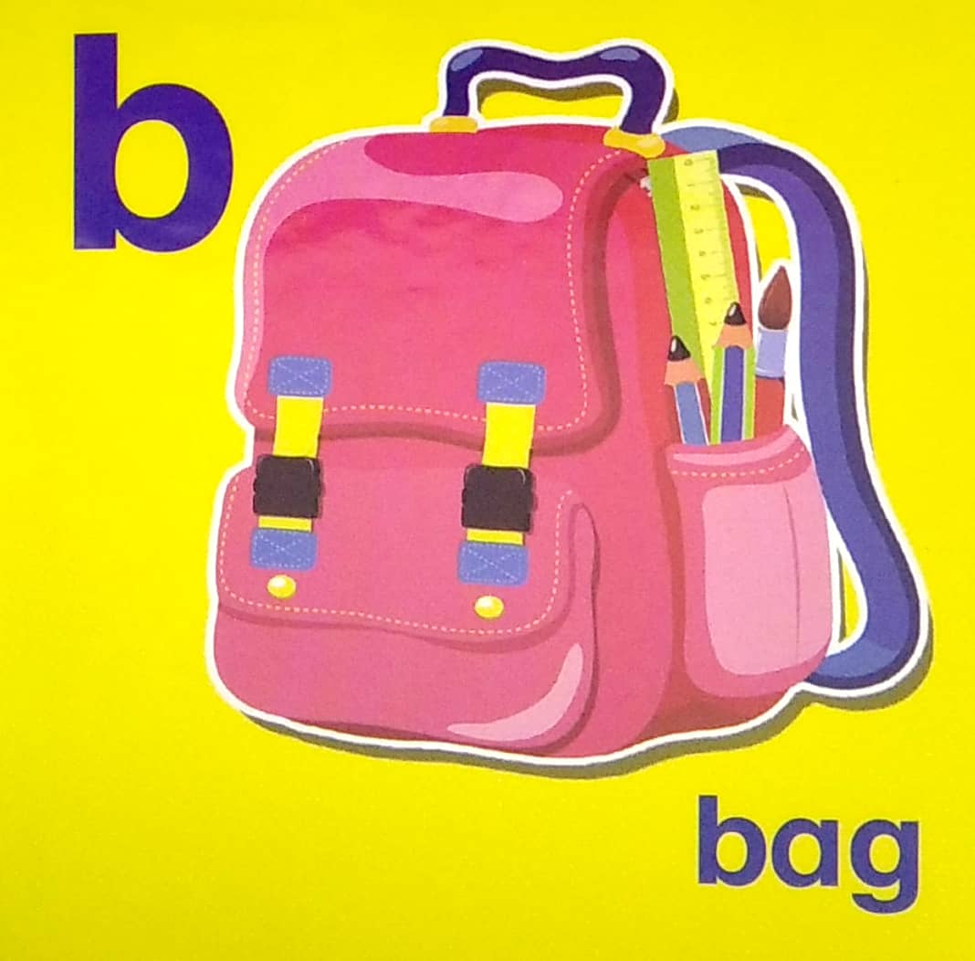 my brainy block books: baby's first abc - Ảnh 4