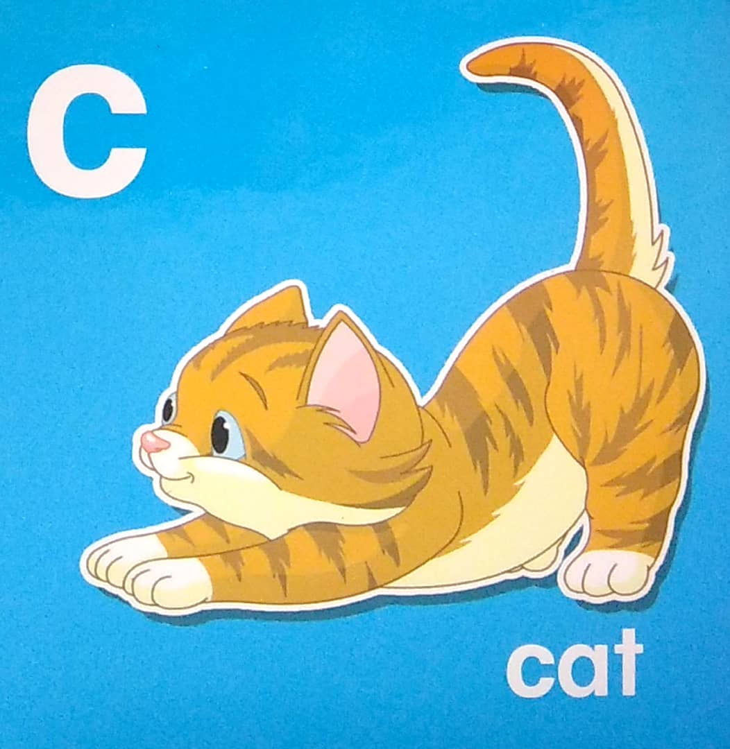 my brainy block books: baby's first abc - Ảnh 5