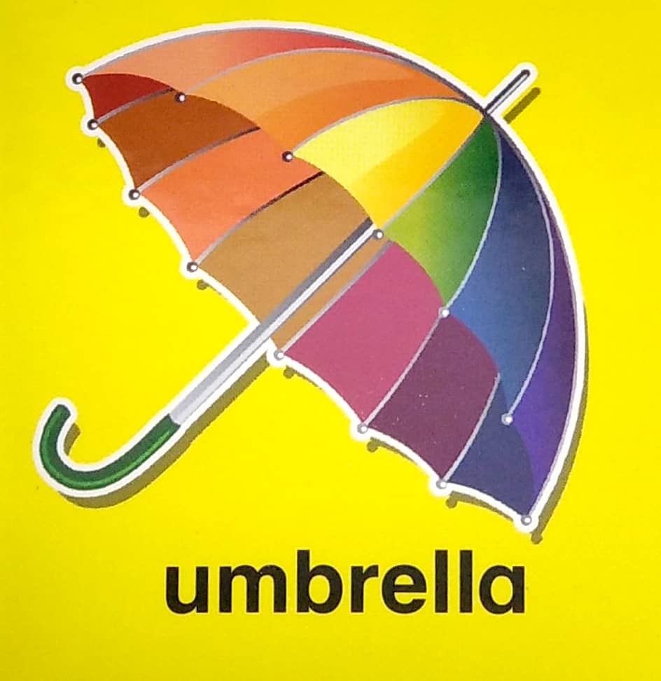 my brainy block books: first words - Ảnh 4