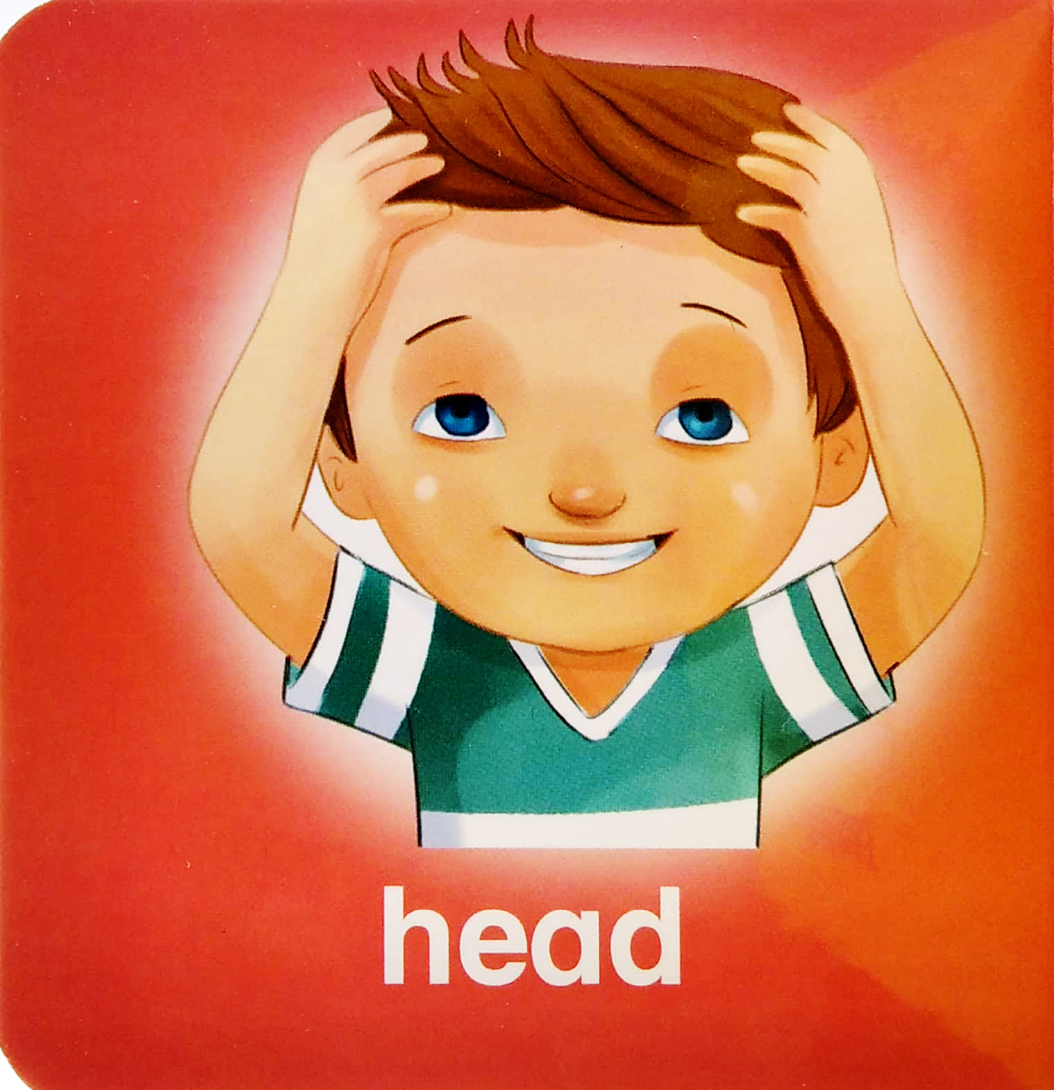 my brainy block books: my body - Ảnh 3