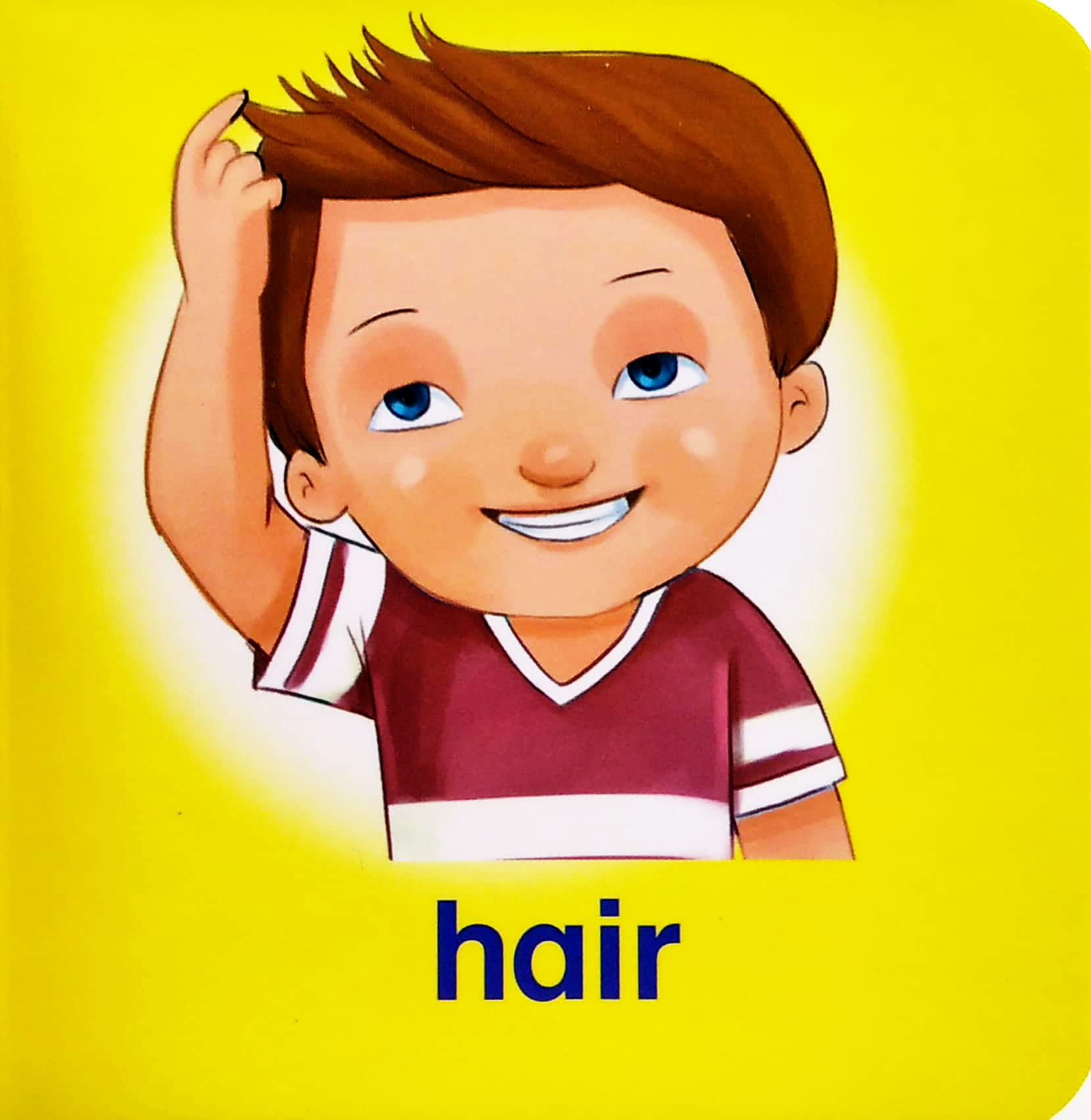 my brainy block books: my body - Ảnh 4