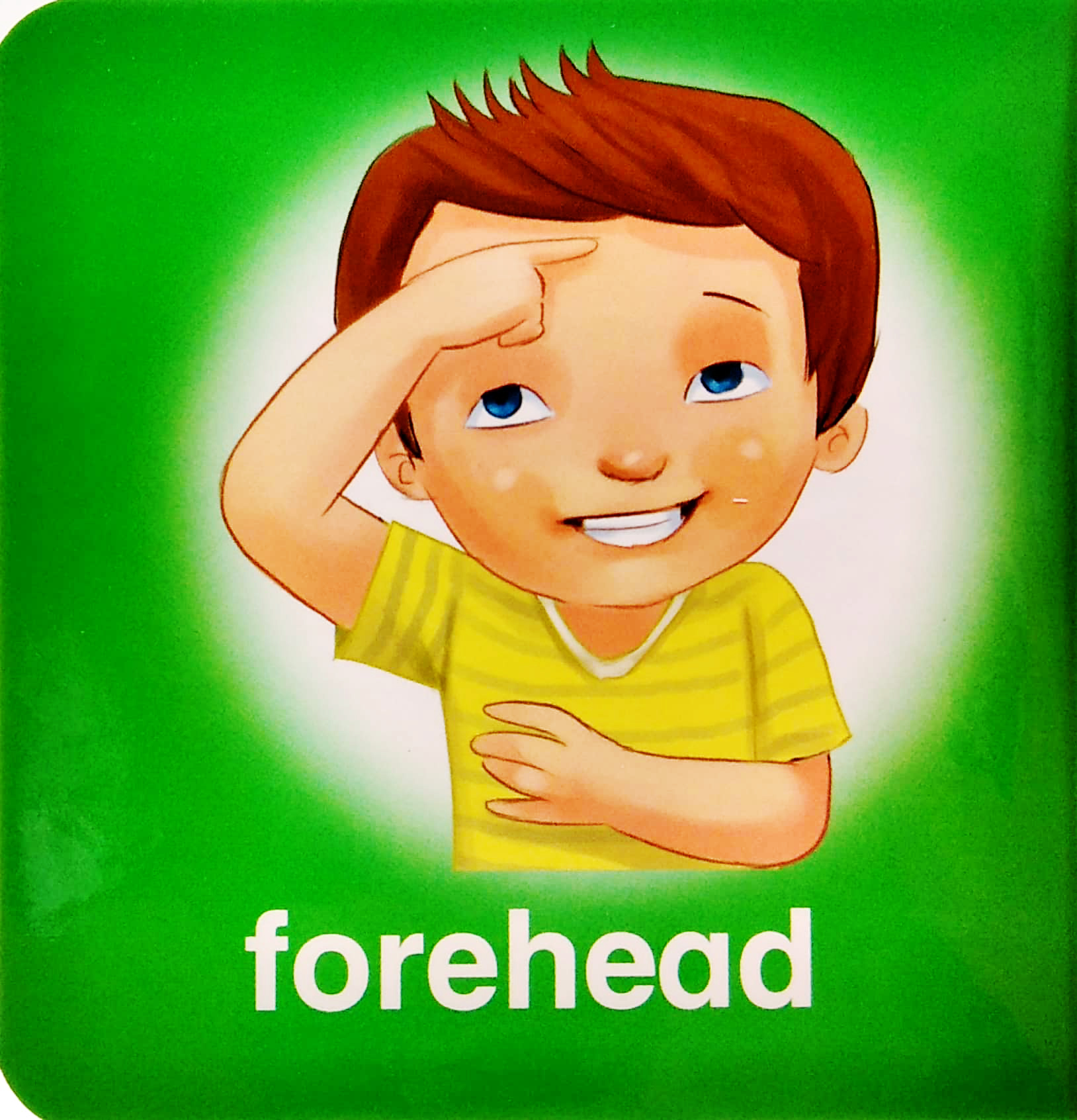 my brainy block books: my body - Ảnh 5