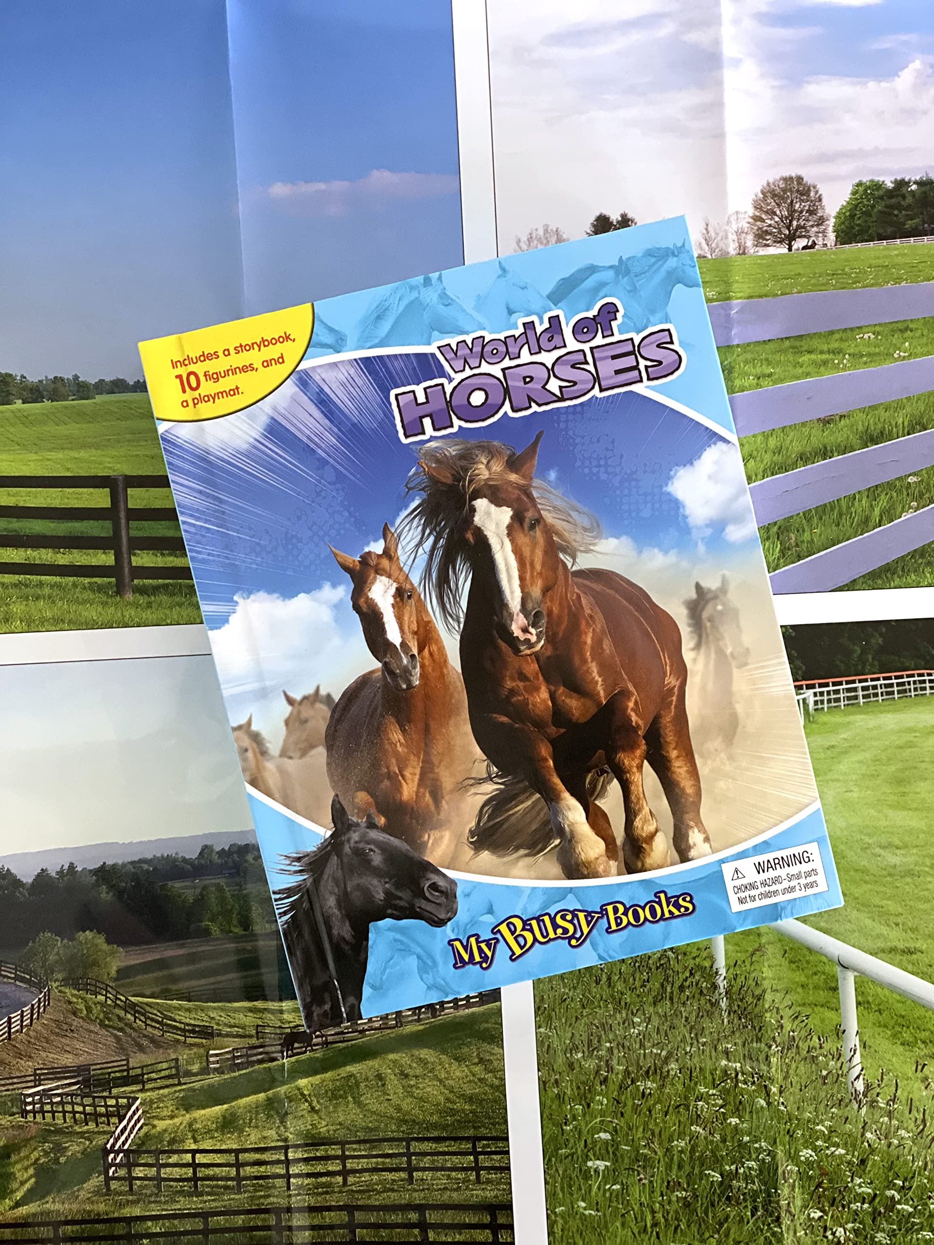 my busy books: world of horses - Ảnh 4