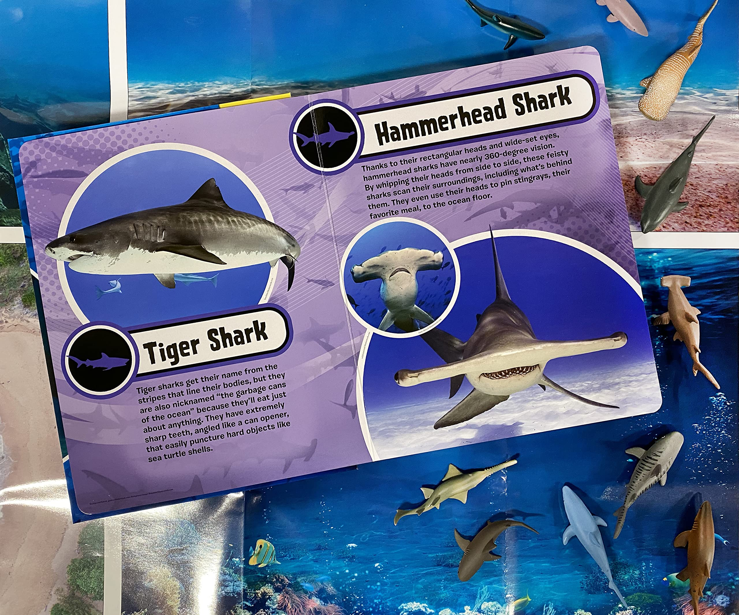 my busy books: world of sharks - Ảnh 2