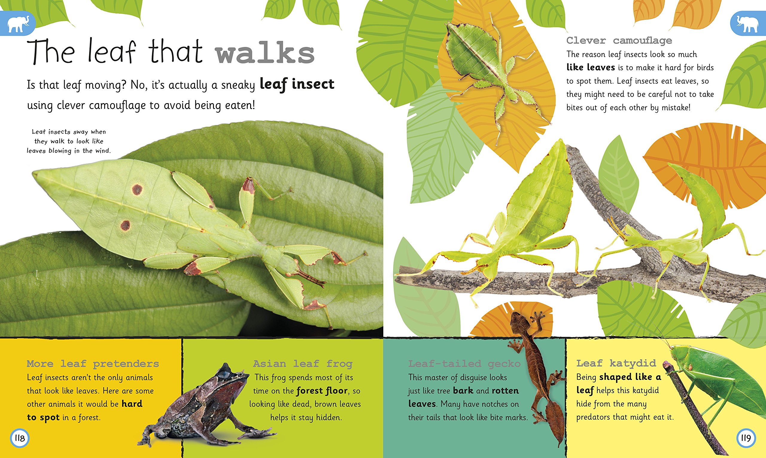 my encyclopedia of very important animals: for little animal lovers who want to know everything (my very important encyclopedias) - Ảnh 4